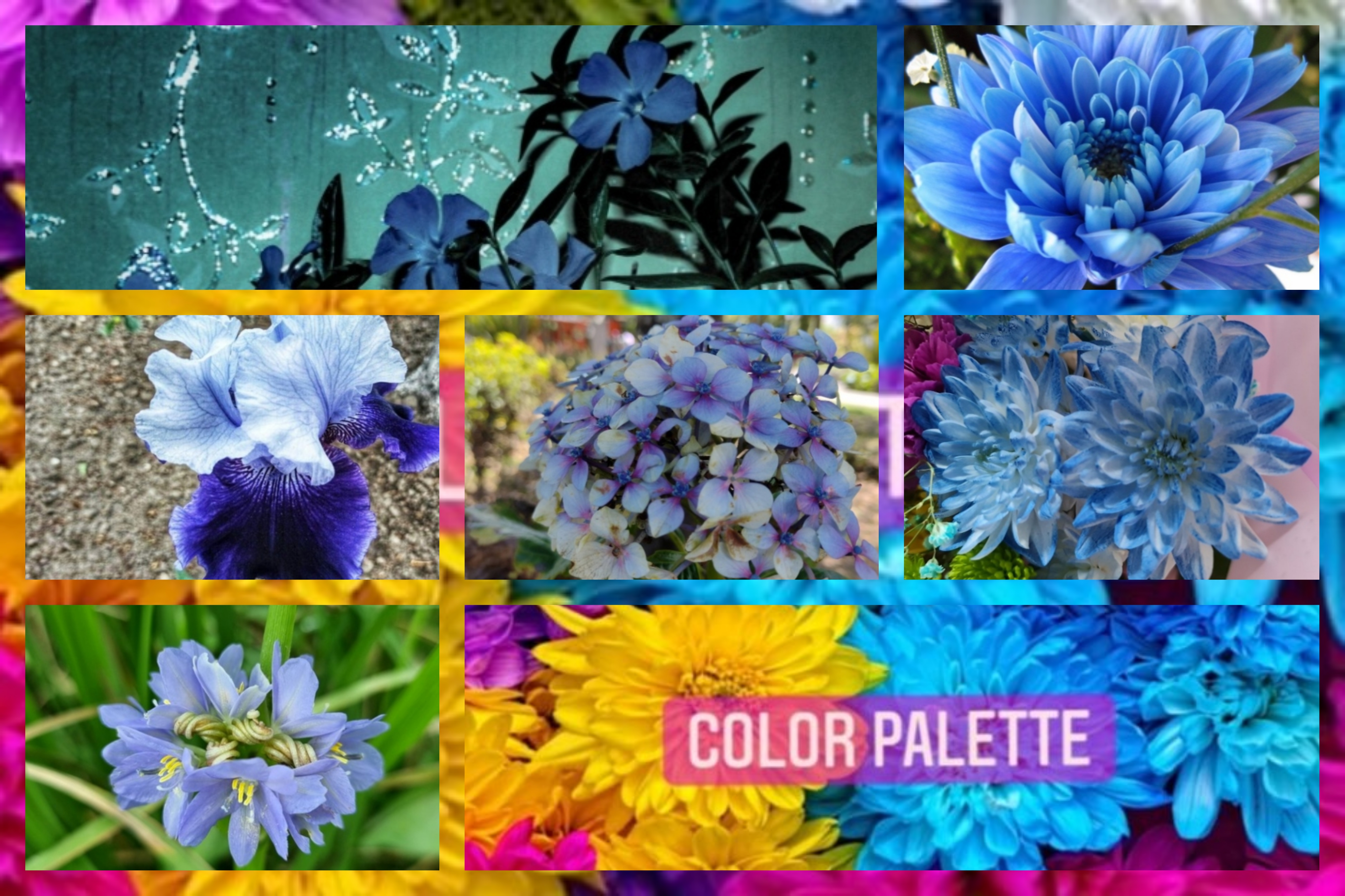 InCollage_20221014_225812741.jpg