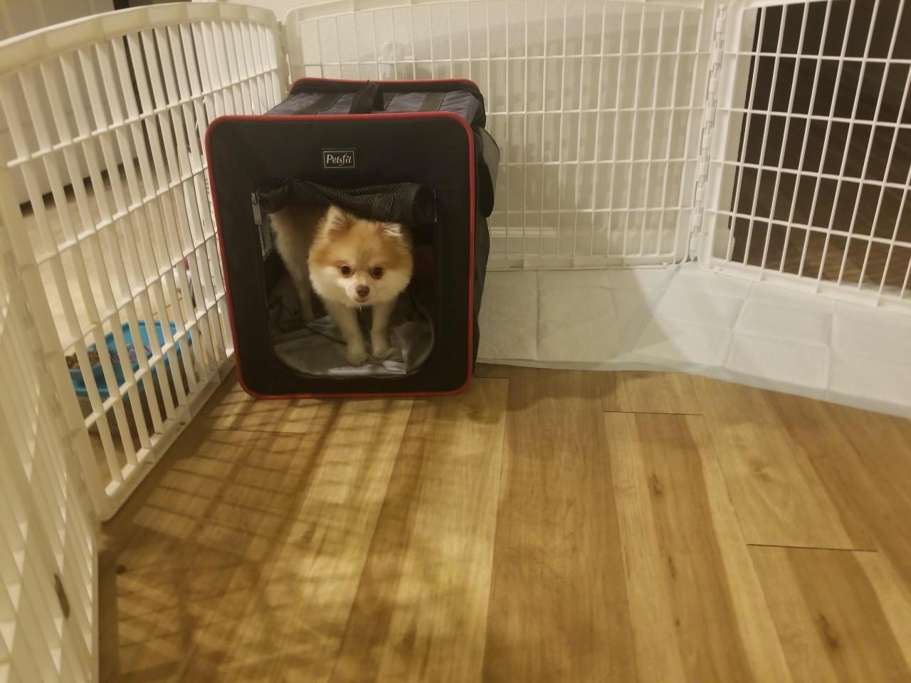 KakaoTalk_20181020_070842211.jpg