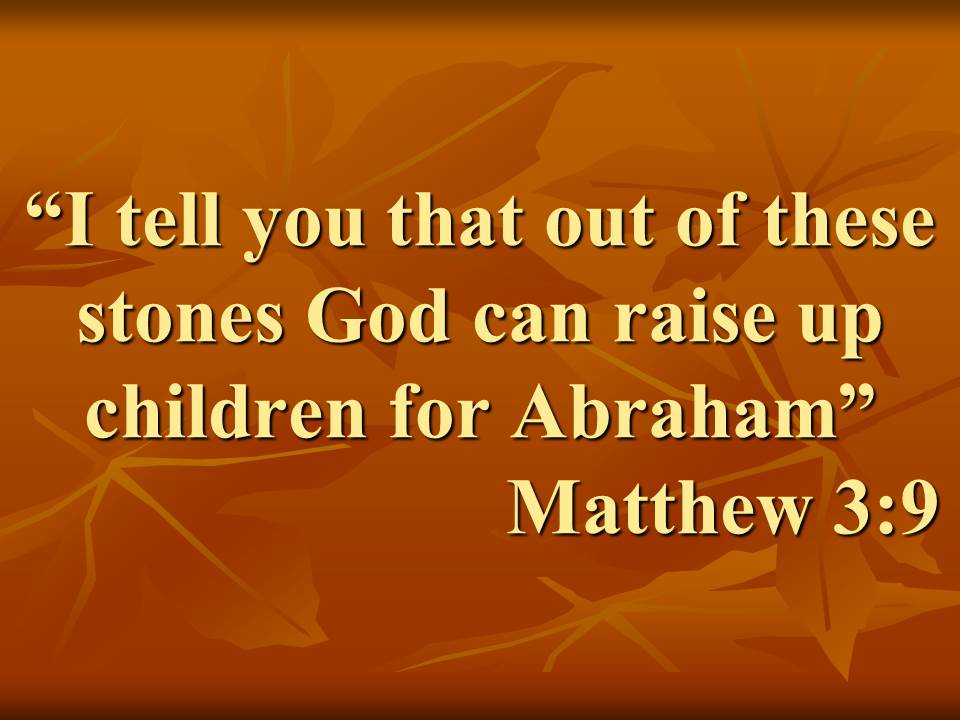 Preaching the kingdom. I tell you that out of these stones God can raise up children for Abraham. Matthew 3,9.jpg