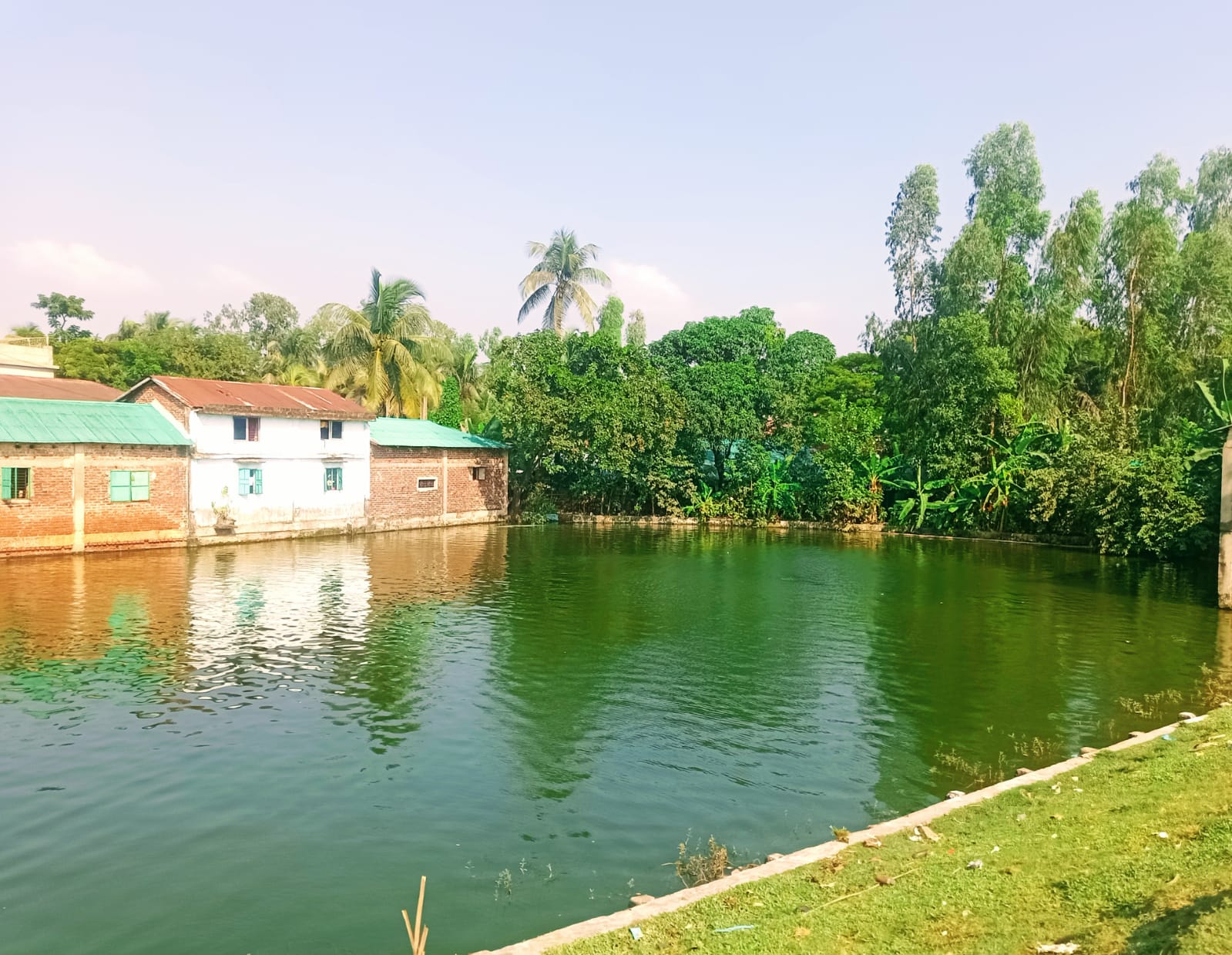 p3.jpg