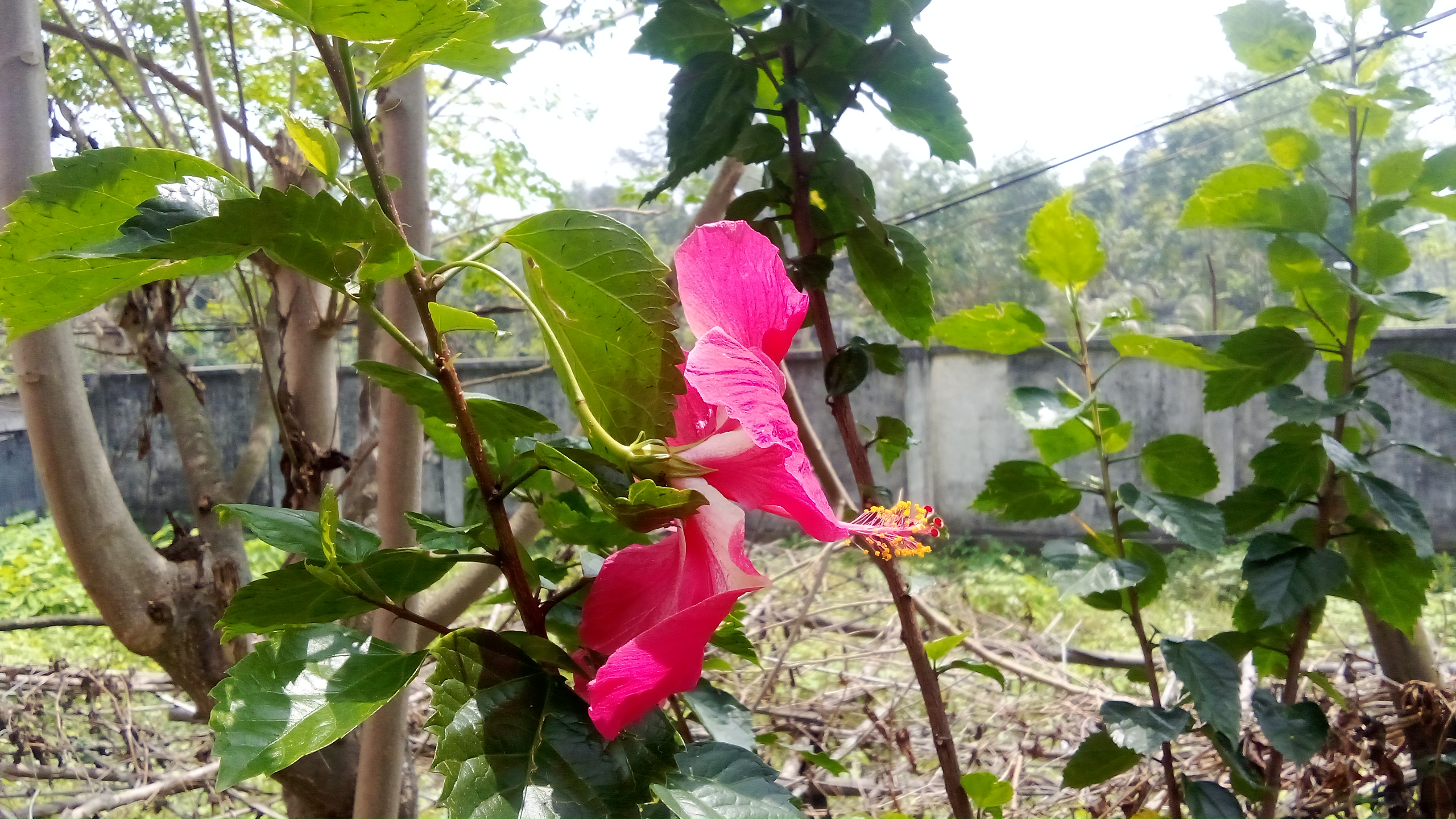 IMG_20260520_122717.jpg