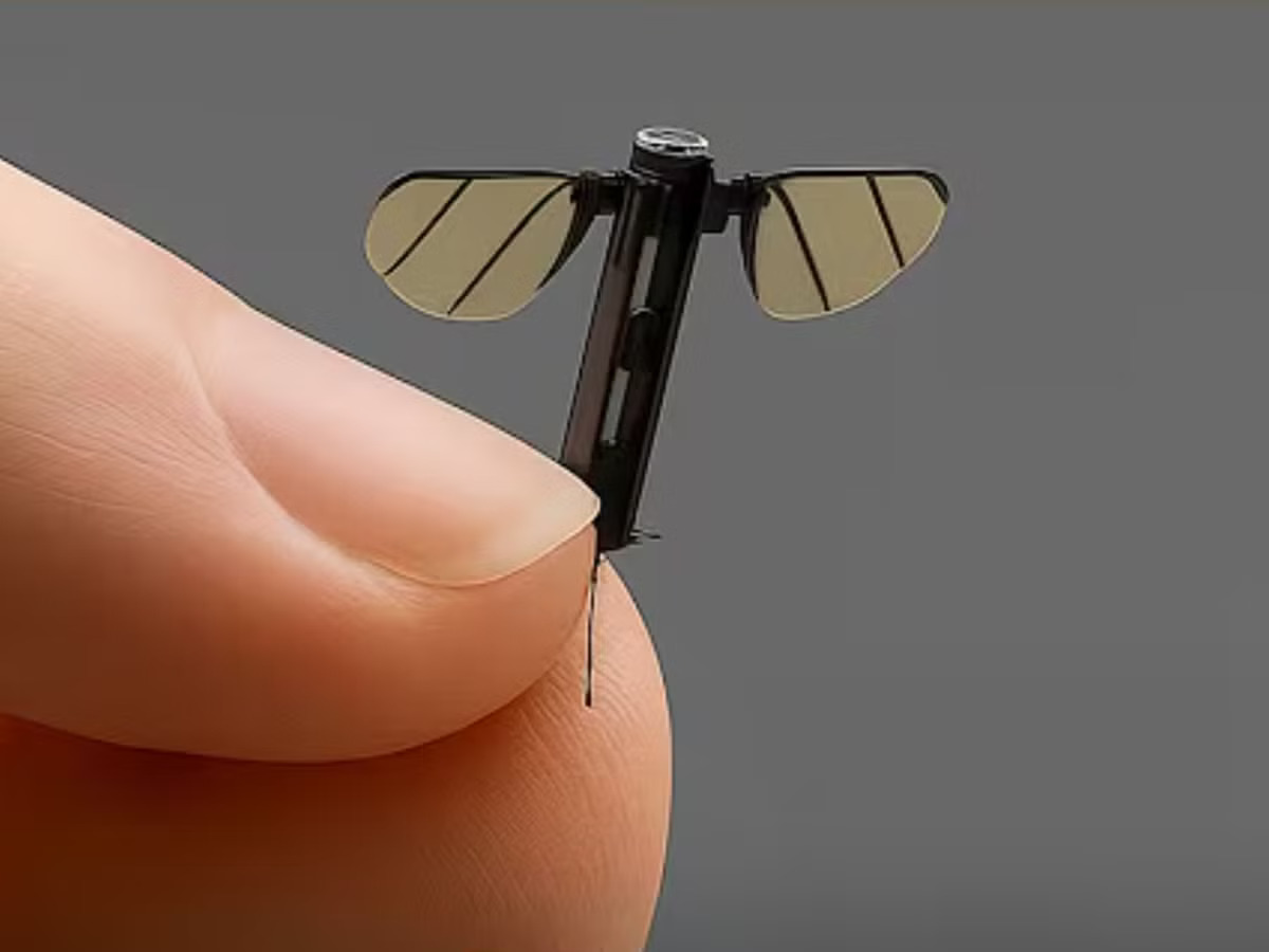 mosquito-drone-spy-china.jpg