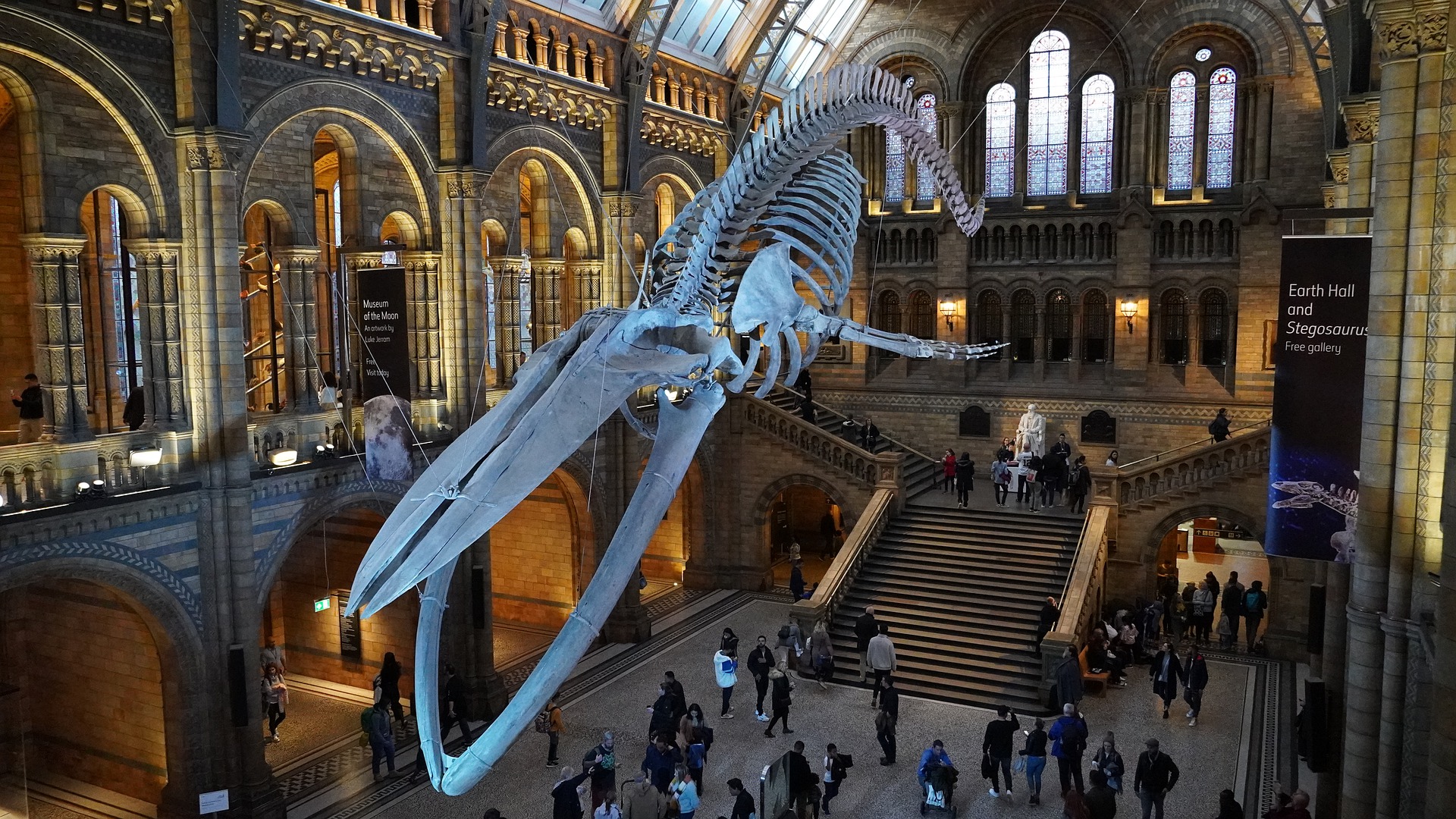 natural-history-museum-g860a3bc0d_1920.jpg