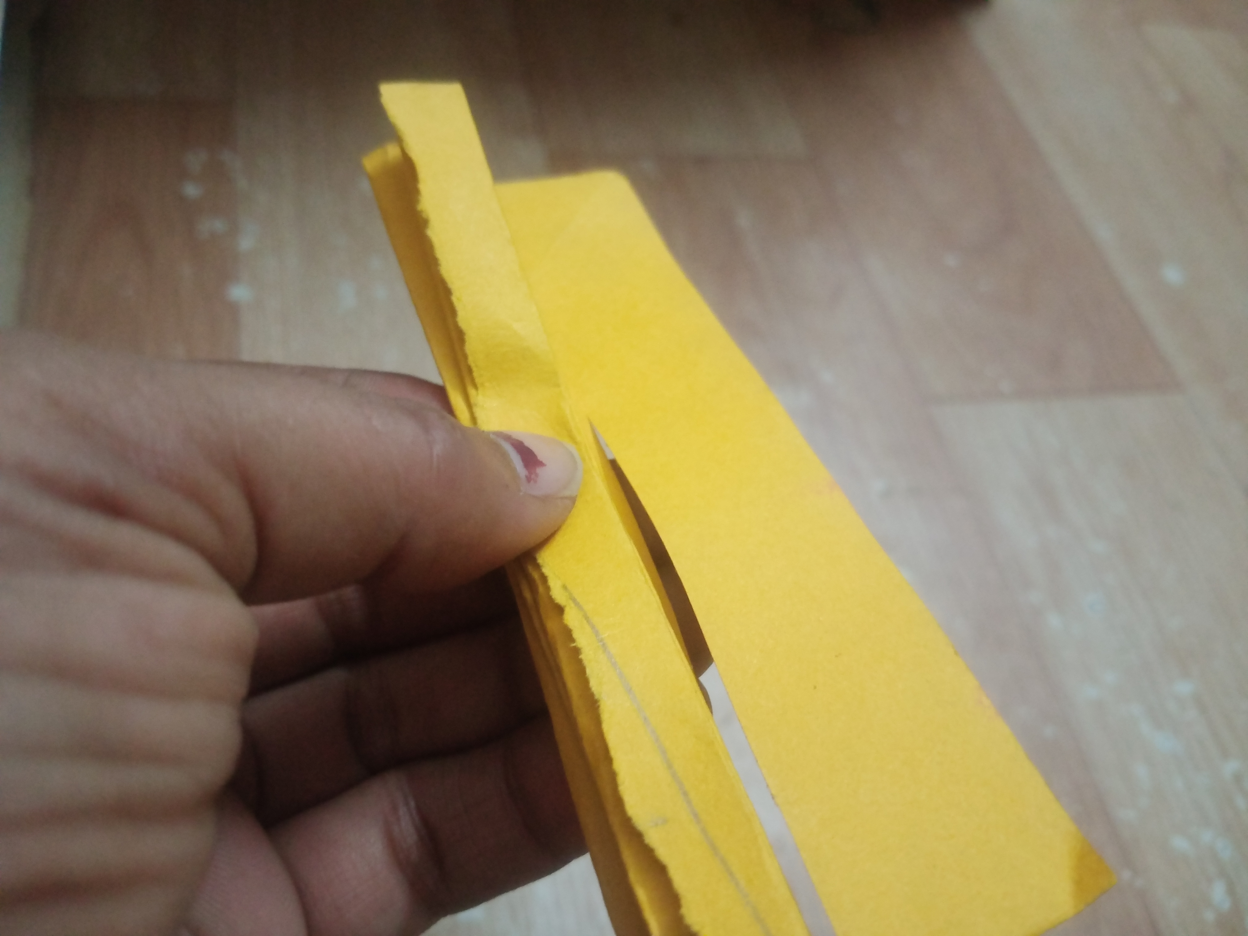 IMG20260731174518.jpg