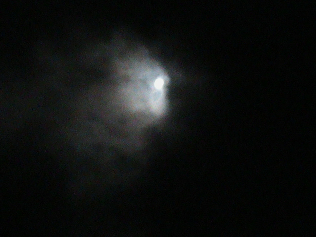 DSC00559.JPG