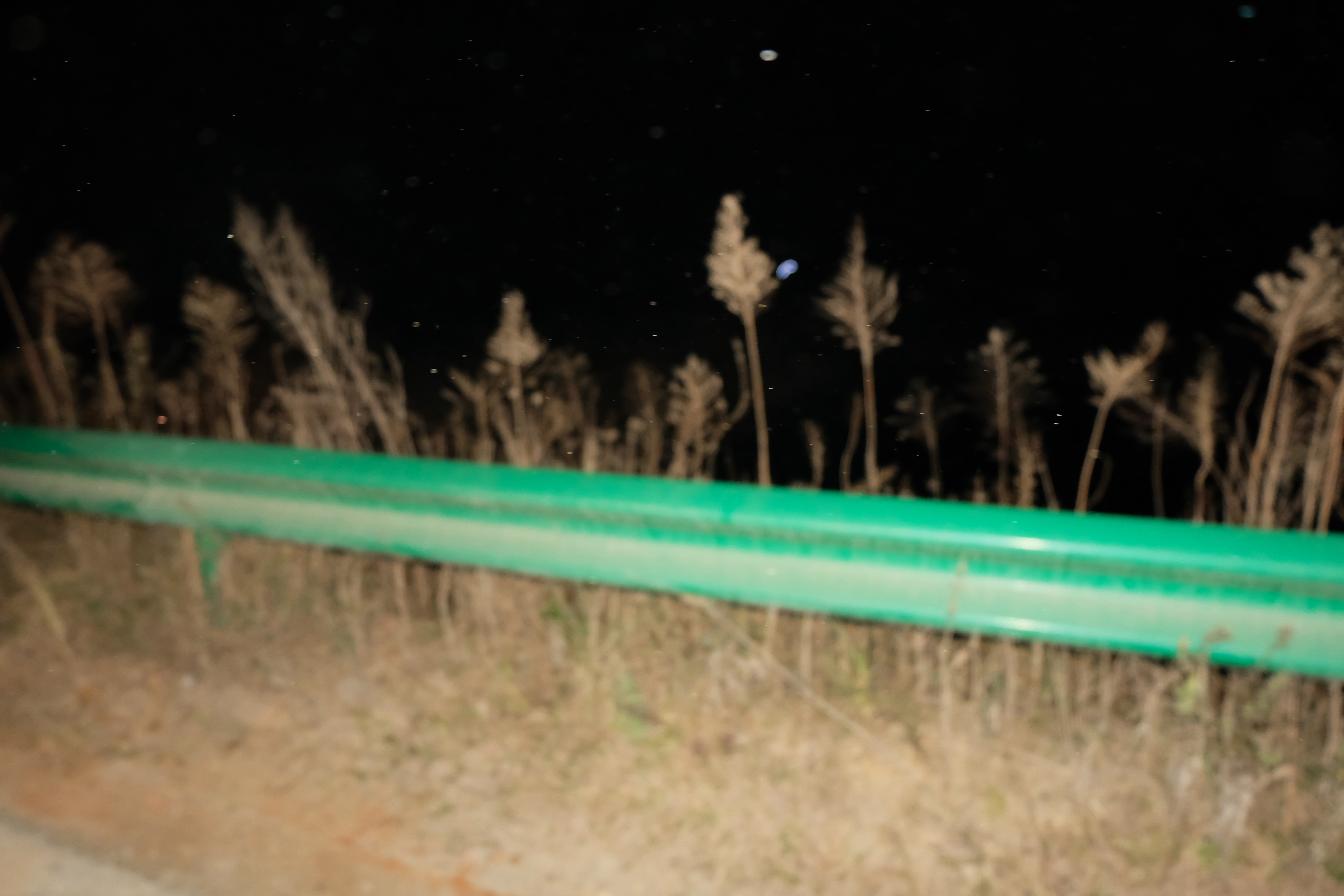 DSCF1525.jpg