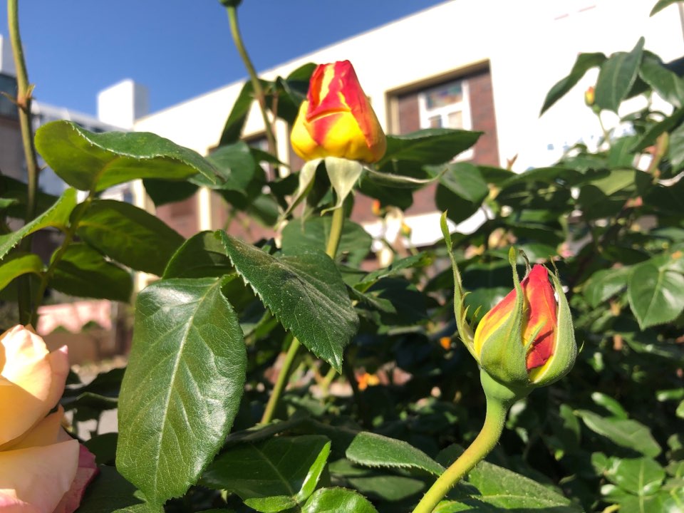 KakaoTalk_20190506_171830190.jpg