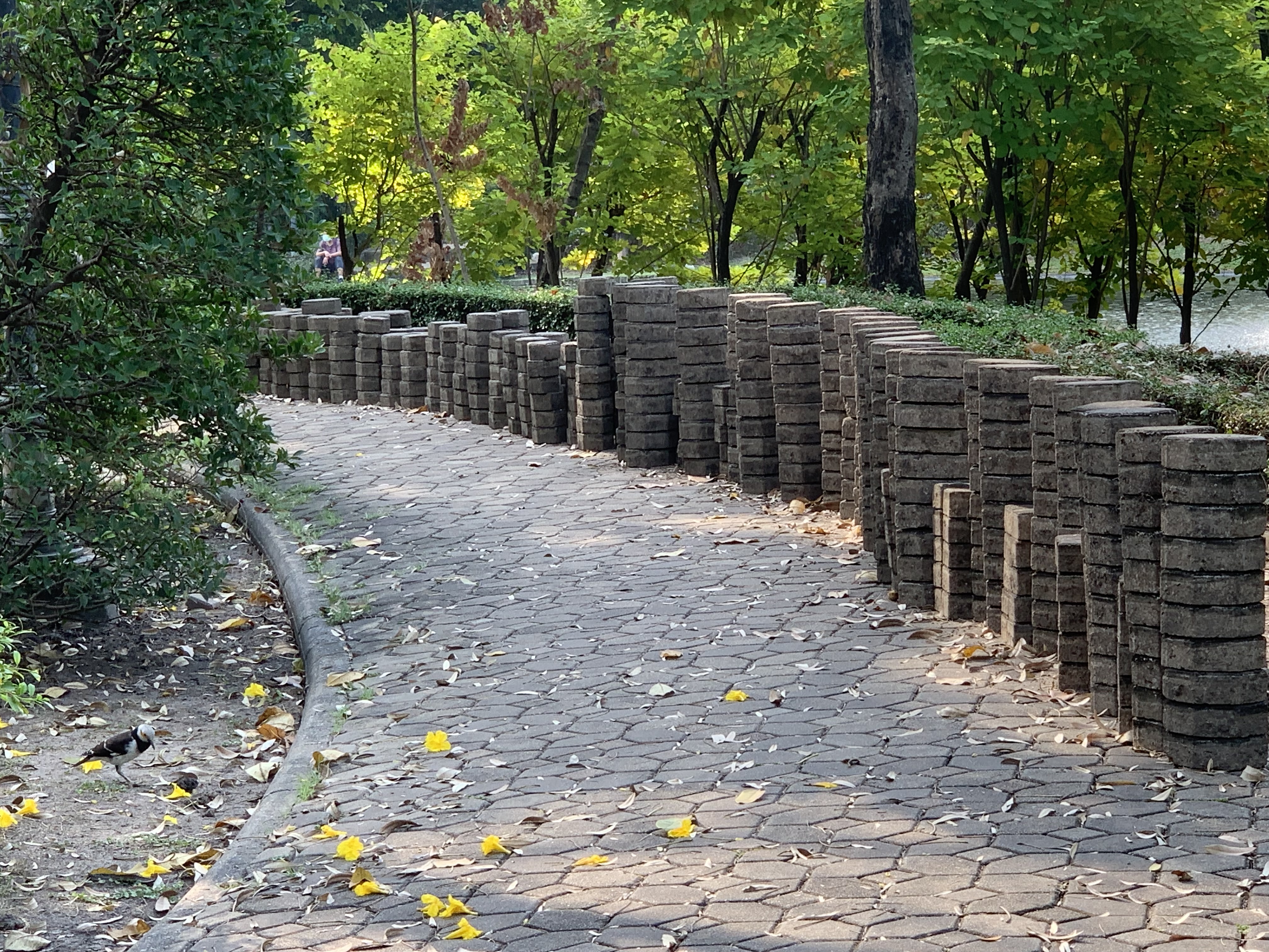 Queen Sirikit Park12.jpg