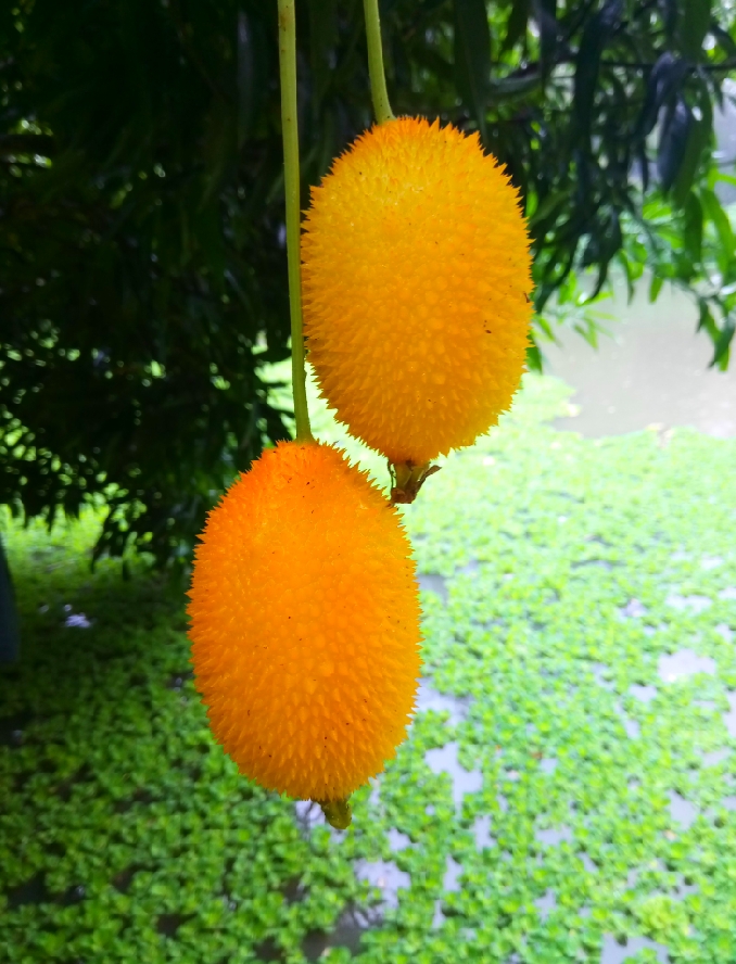 Image_1630512243.jpg