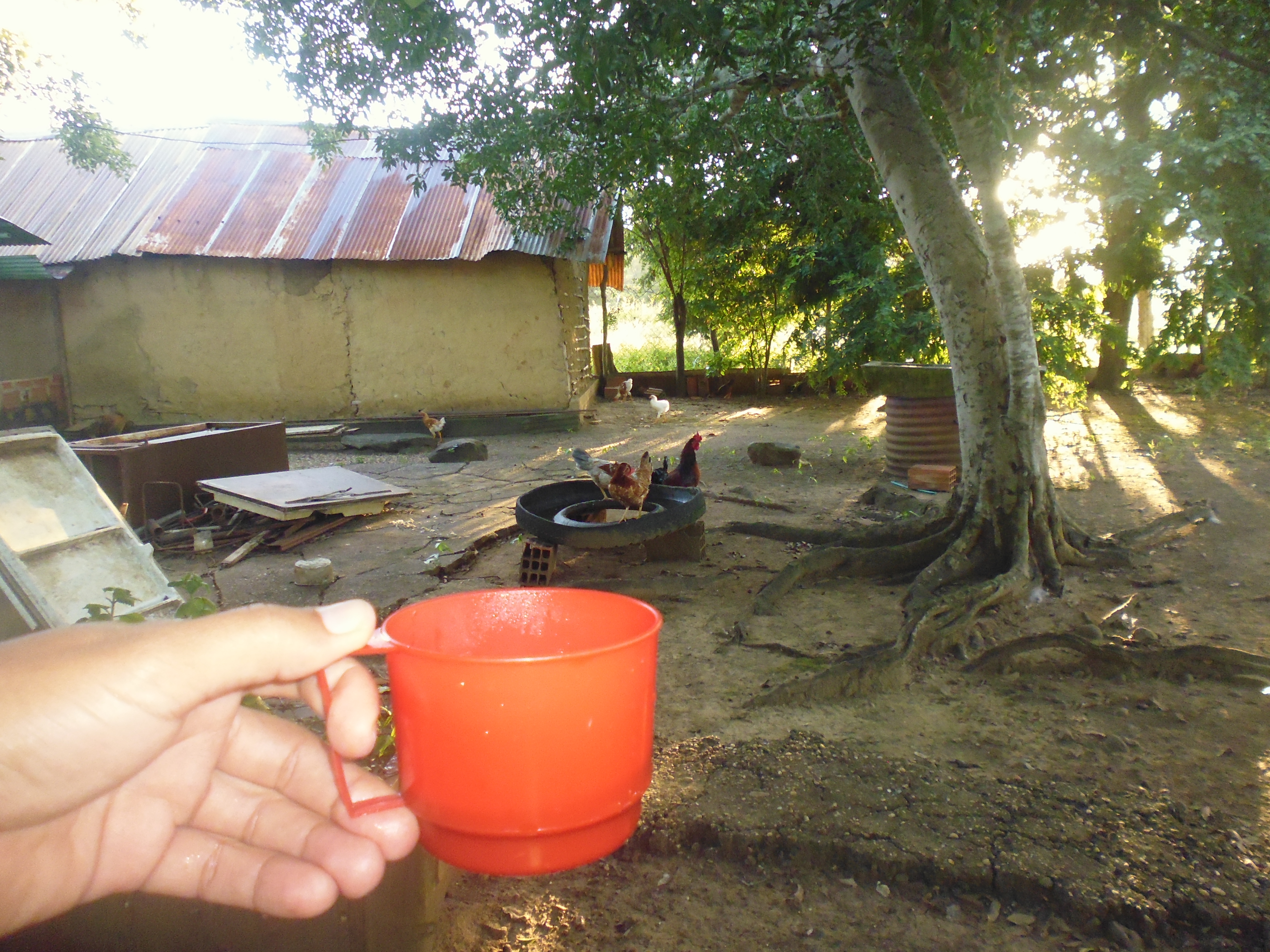 P1010682.JPG