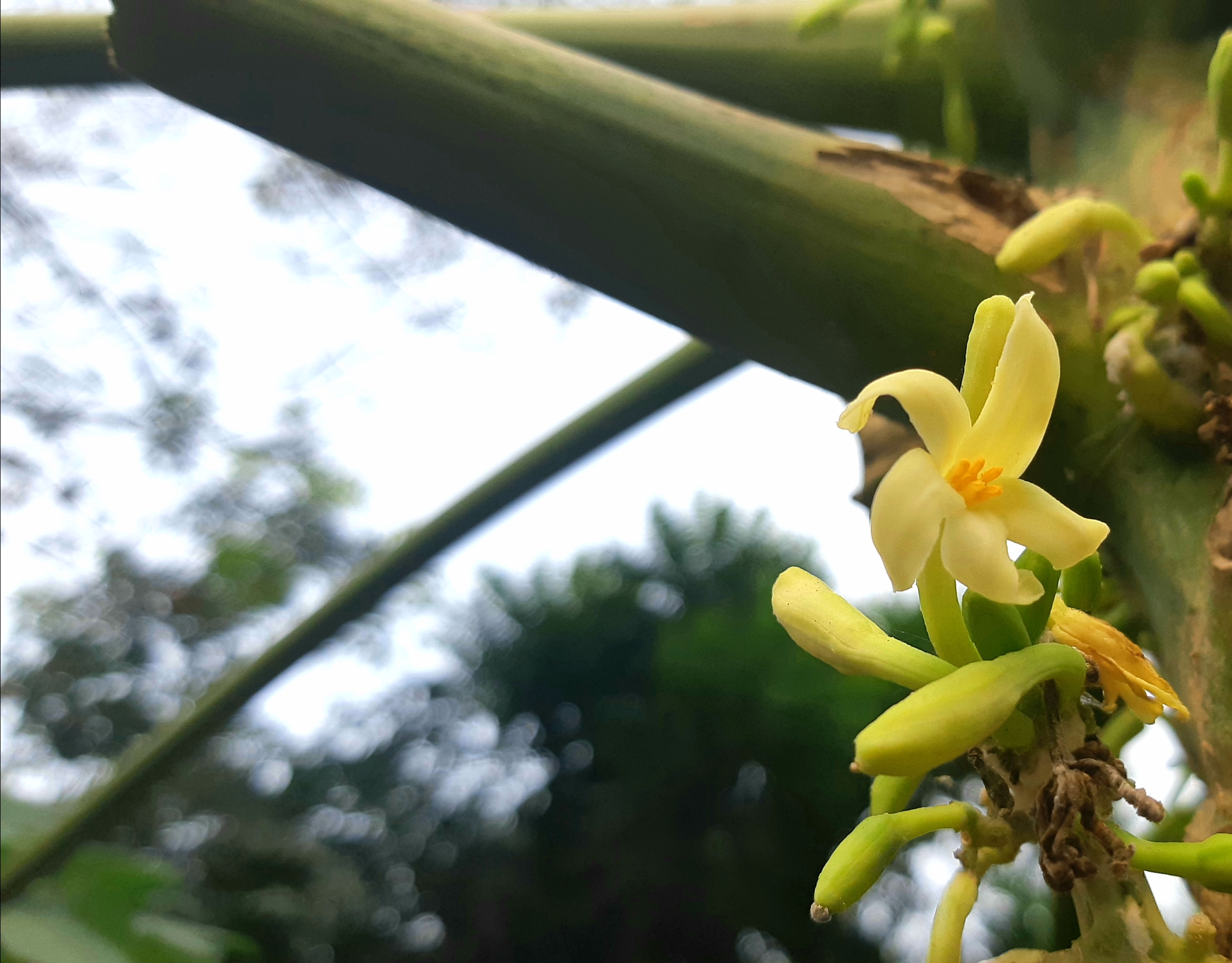 20180915_151620.jpg
