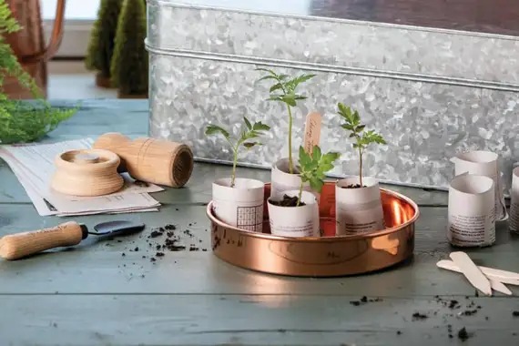 Holiday-Gifts-For-Gardeners-Fresh-Herbs-And-Hydroponic-Indoor-Gardens-Theyll-Love.jpg