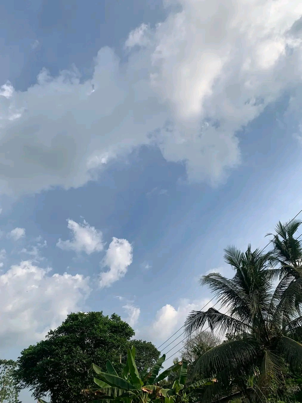 353285.jpg