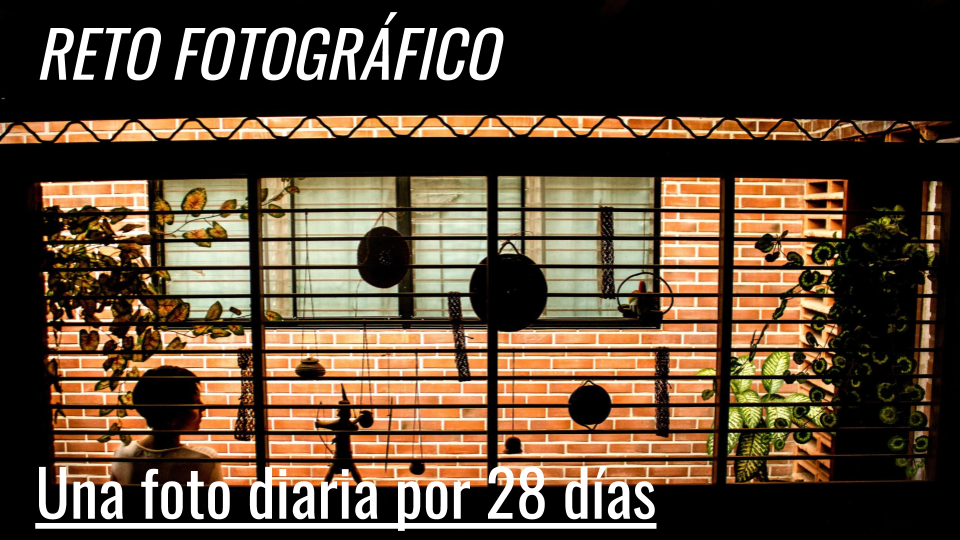 dia19,20y21.png