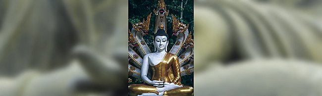 buddha-with-naag-large (1).jpg
