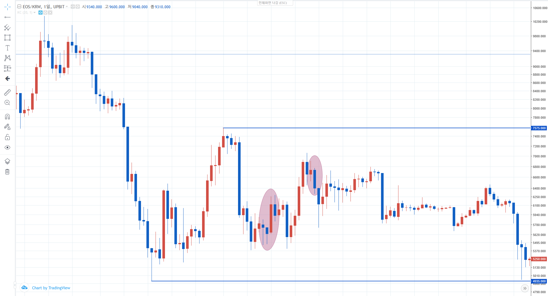 빙구처럼 트레이딩: 코인 차트 