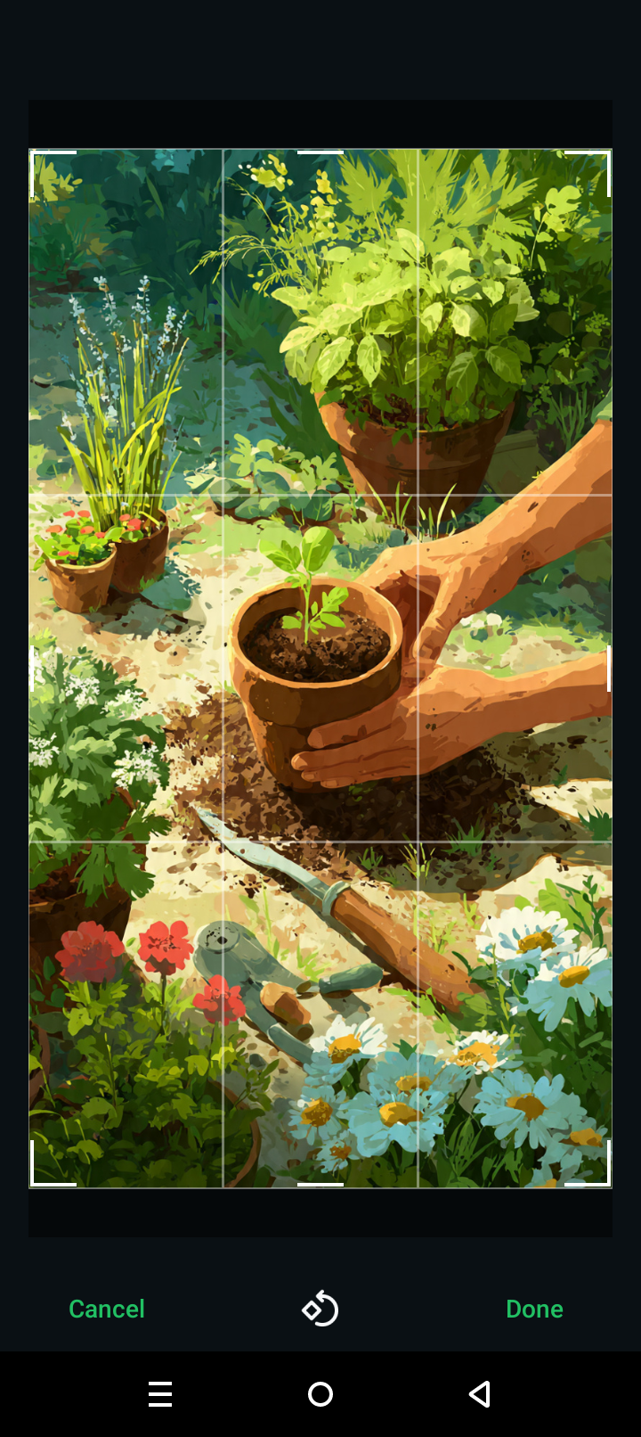 1000307623.png