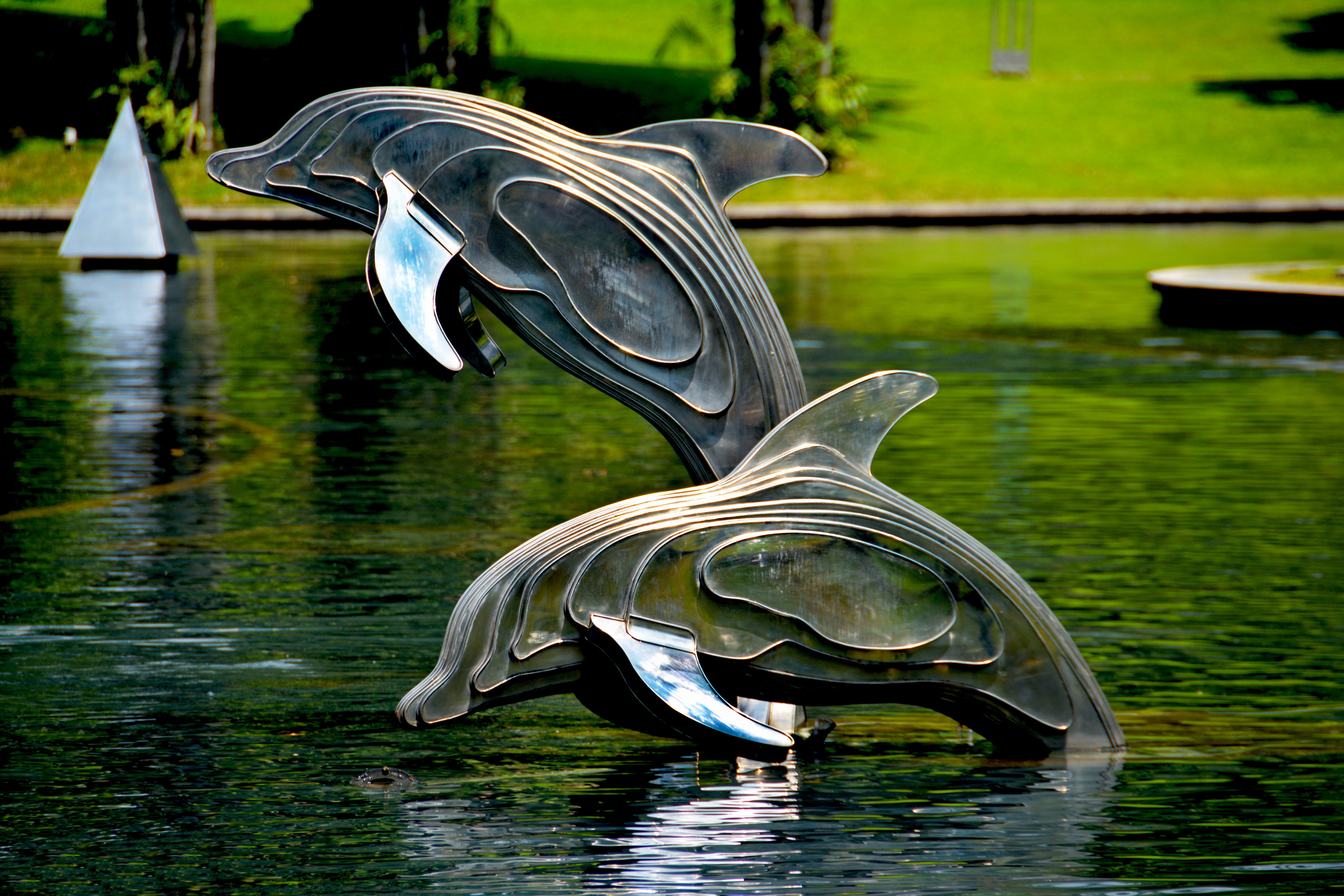 Steem Dolphin.jpg