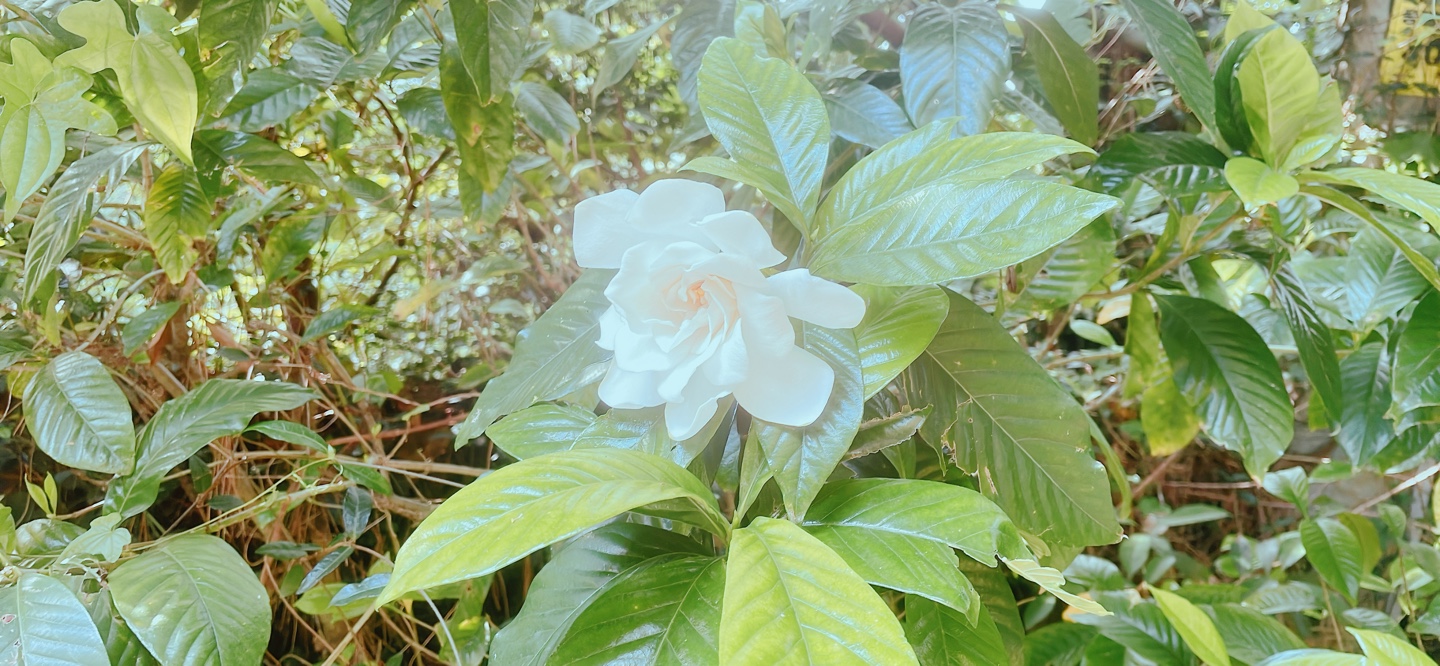 KakaoTalk_20260704_164241069_07.jpg