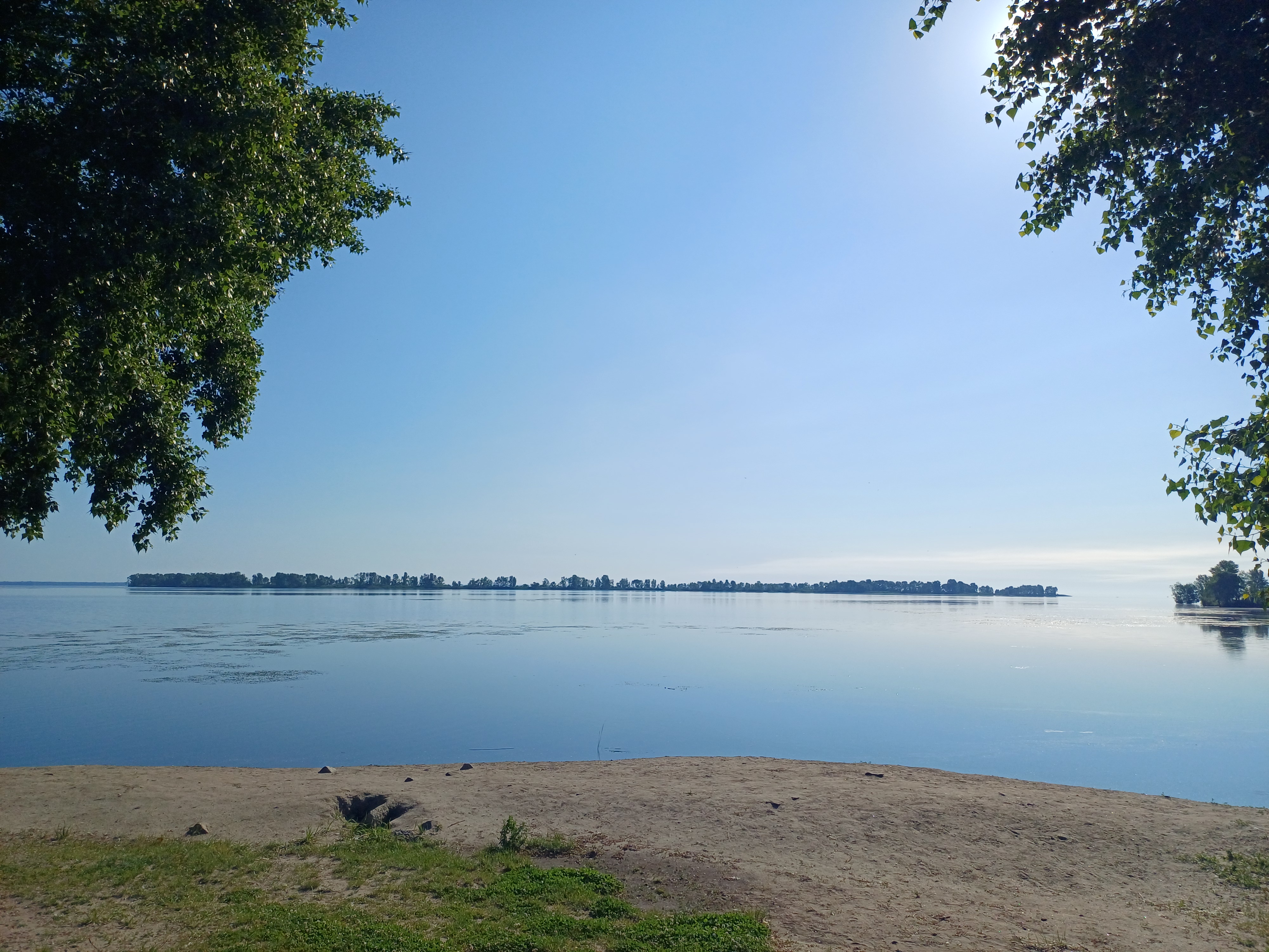 20260610_080929.jpg