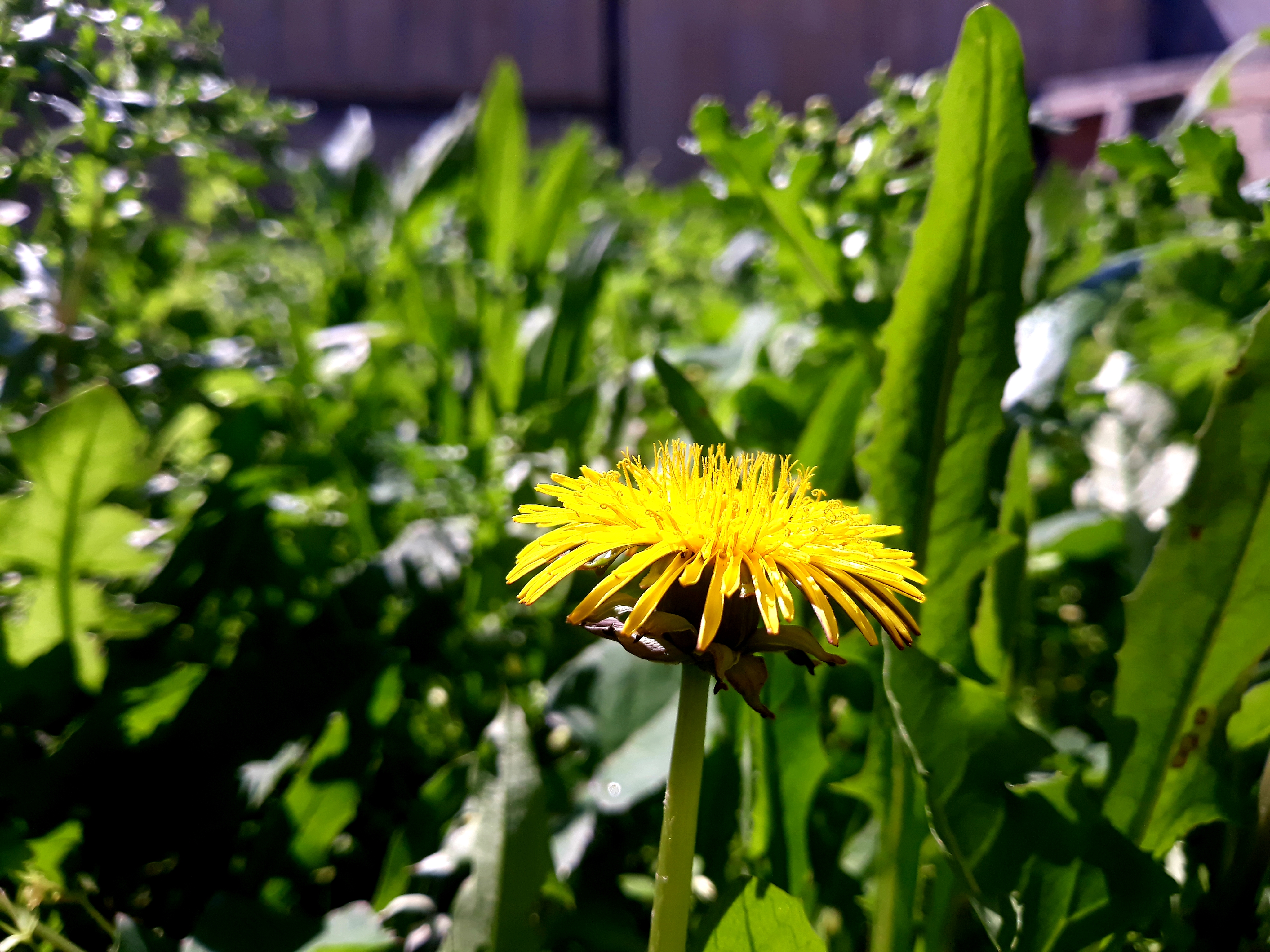 20190407_150050.jpg