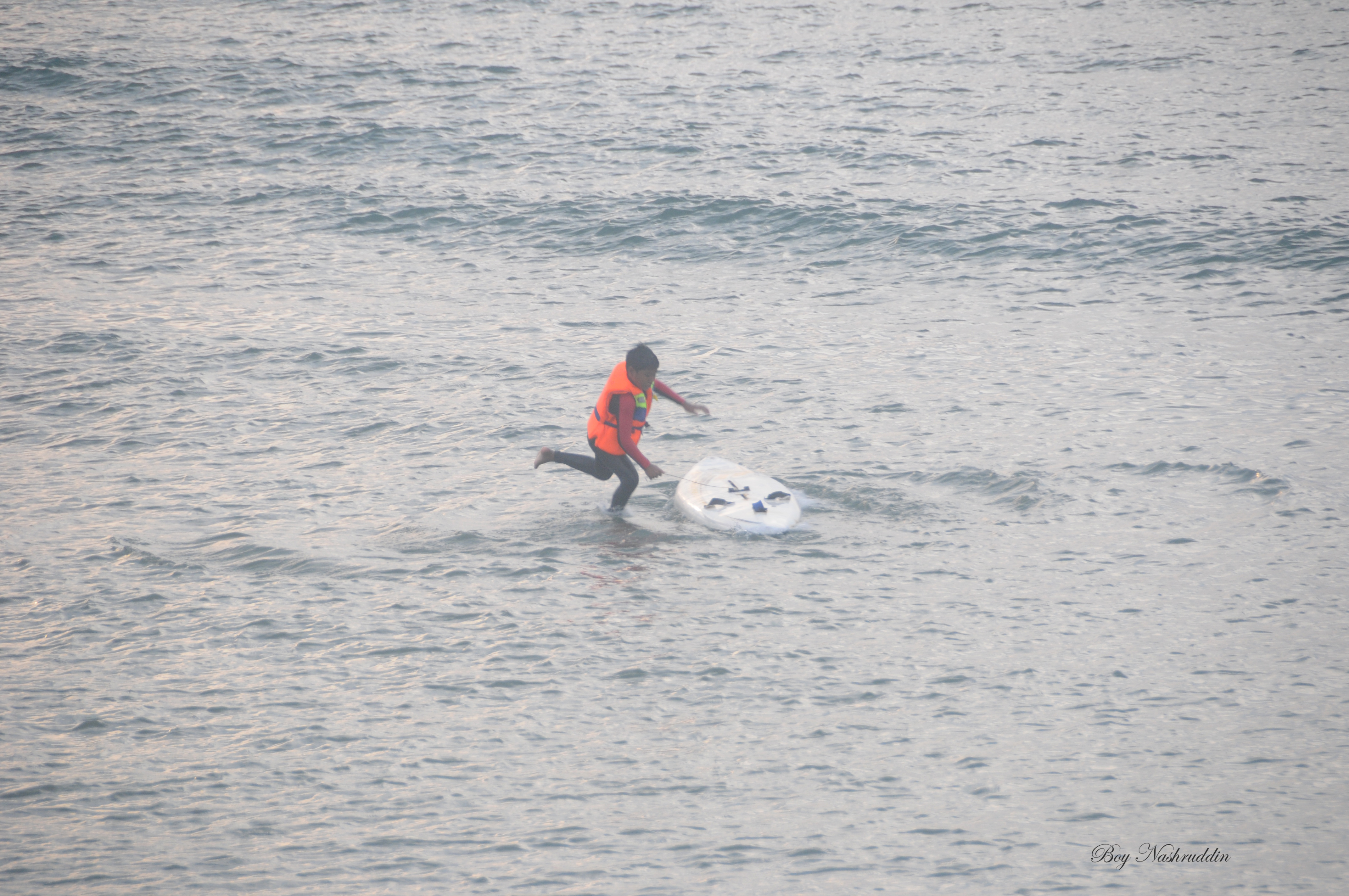DSC_1317.jpg