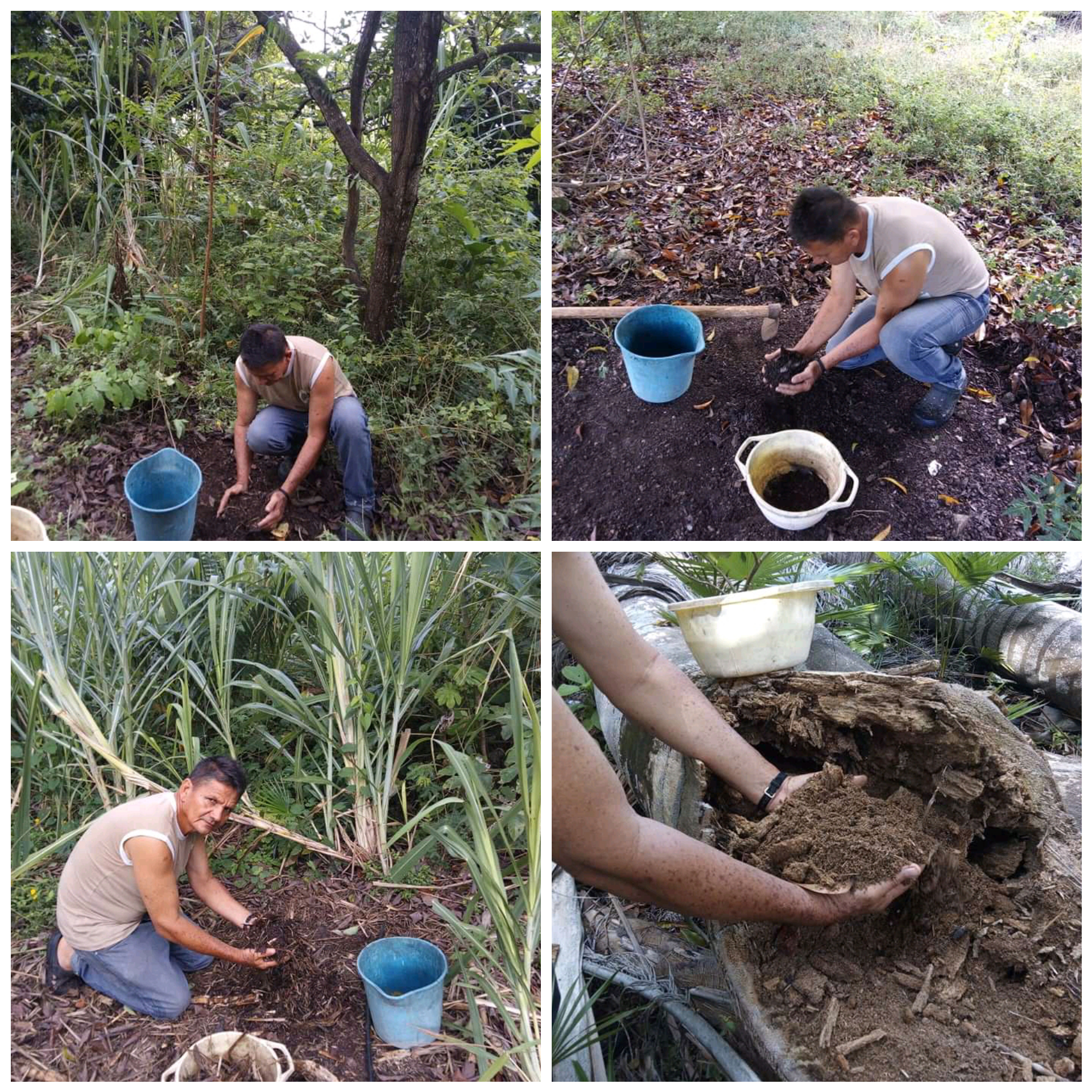 CollageMaker_20220501_070955477.jpg