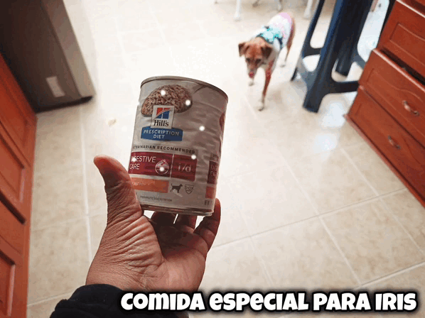 128893.gif