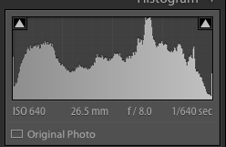 Screen Shot 2018-10-26 at 10.23.08 AM.png