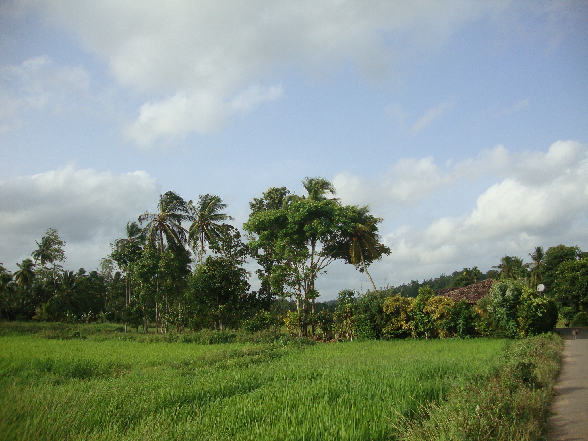 DSC02835.JPG