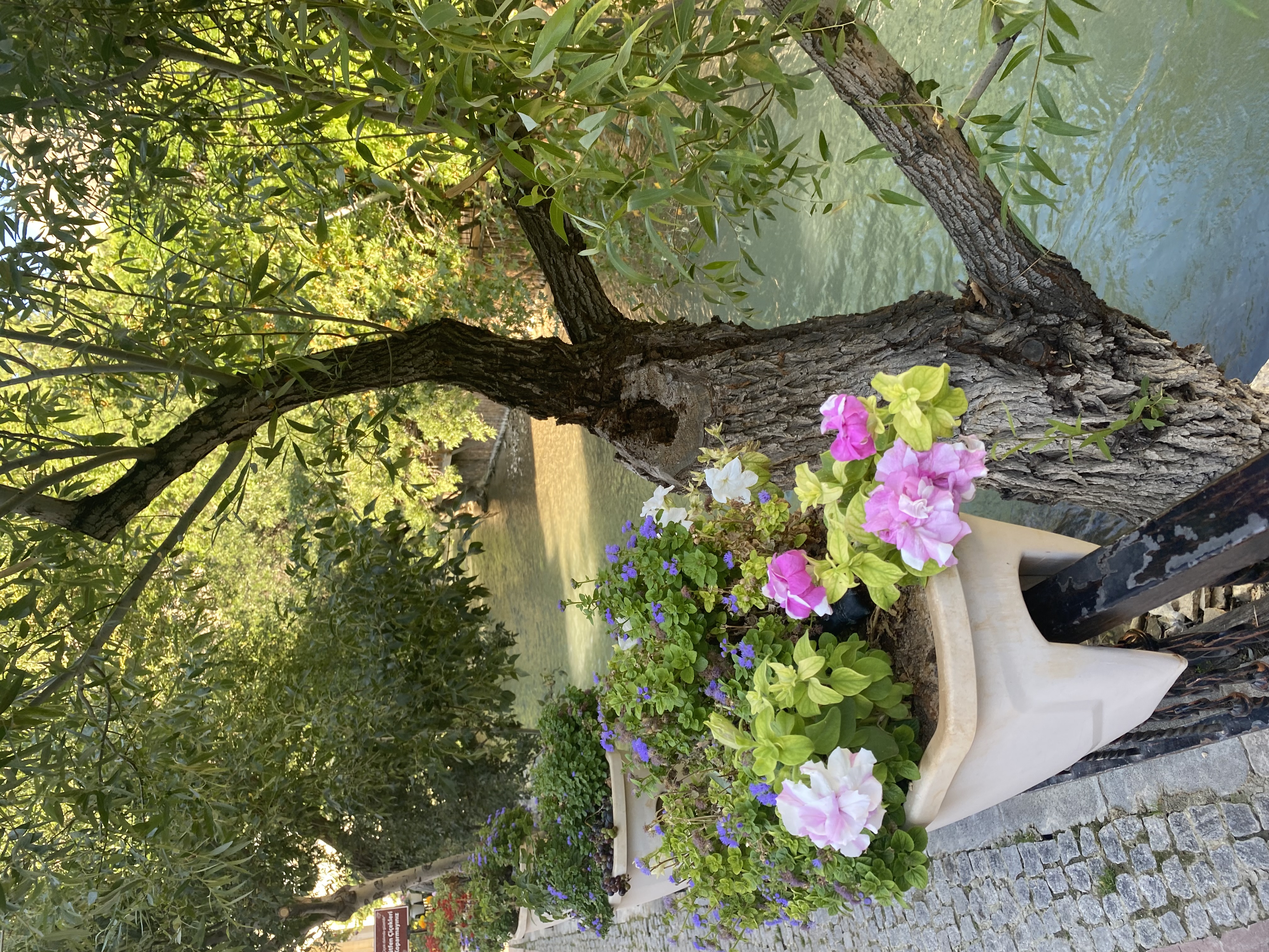 IMG_0531.jpeg
