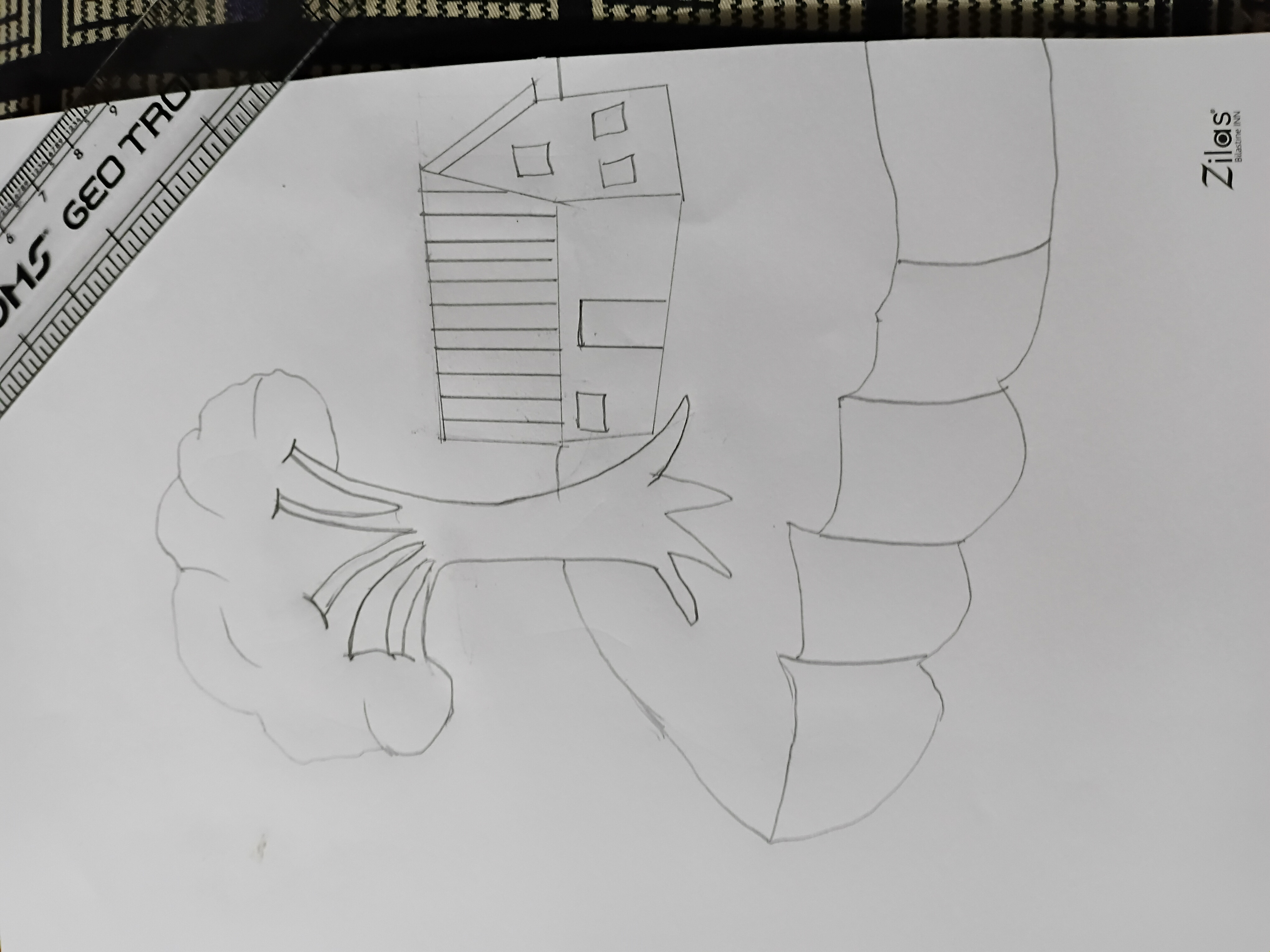 45867.jpg