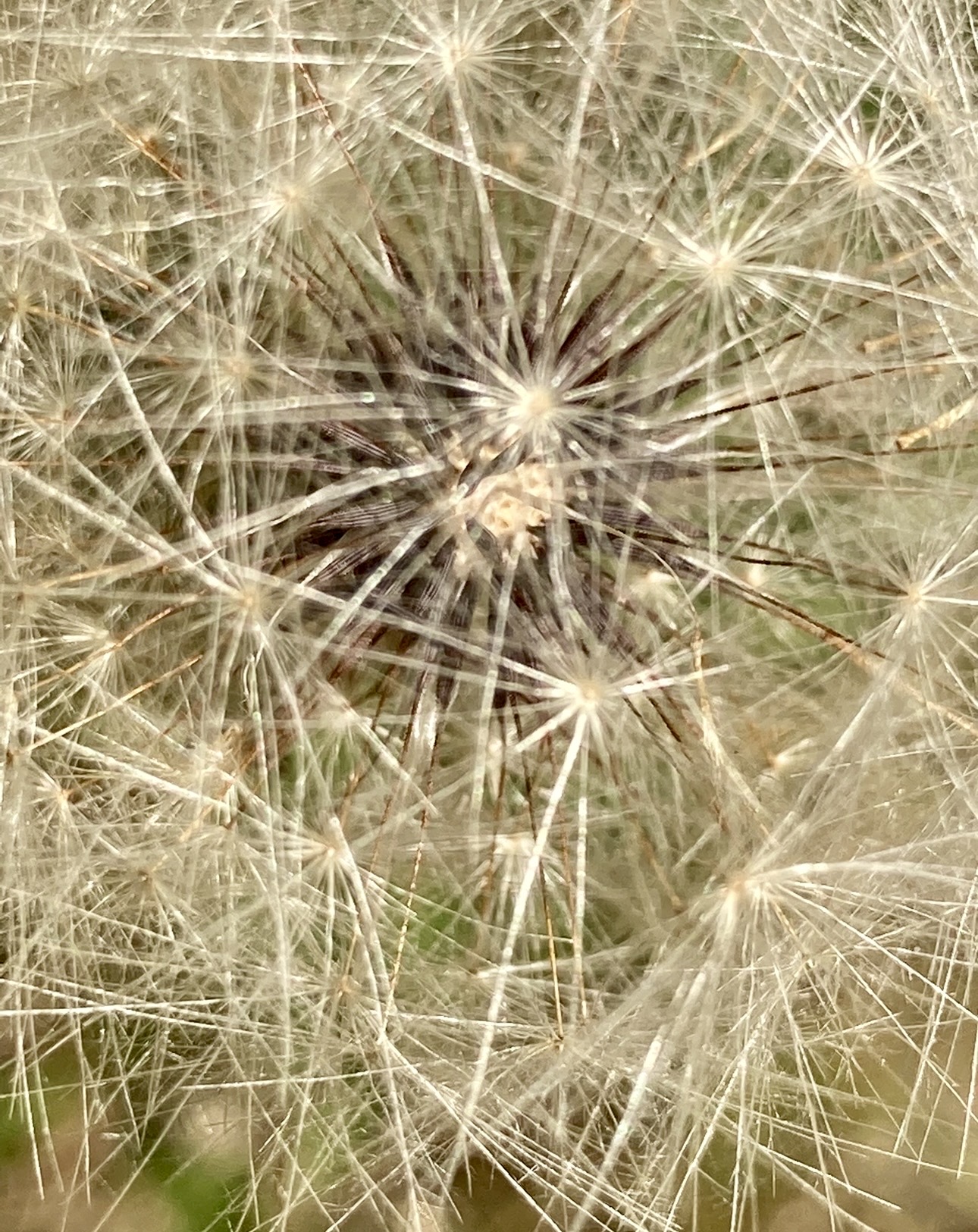 IMG_6865.jpg