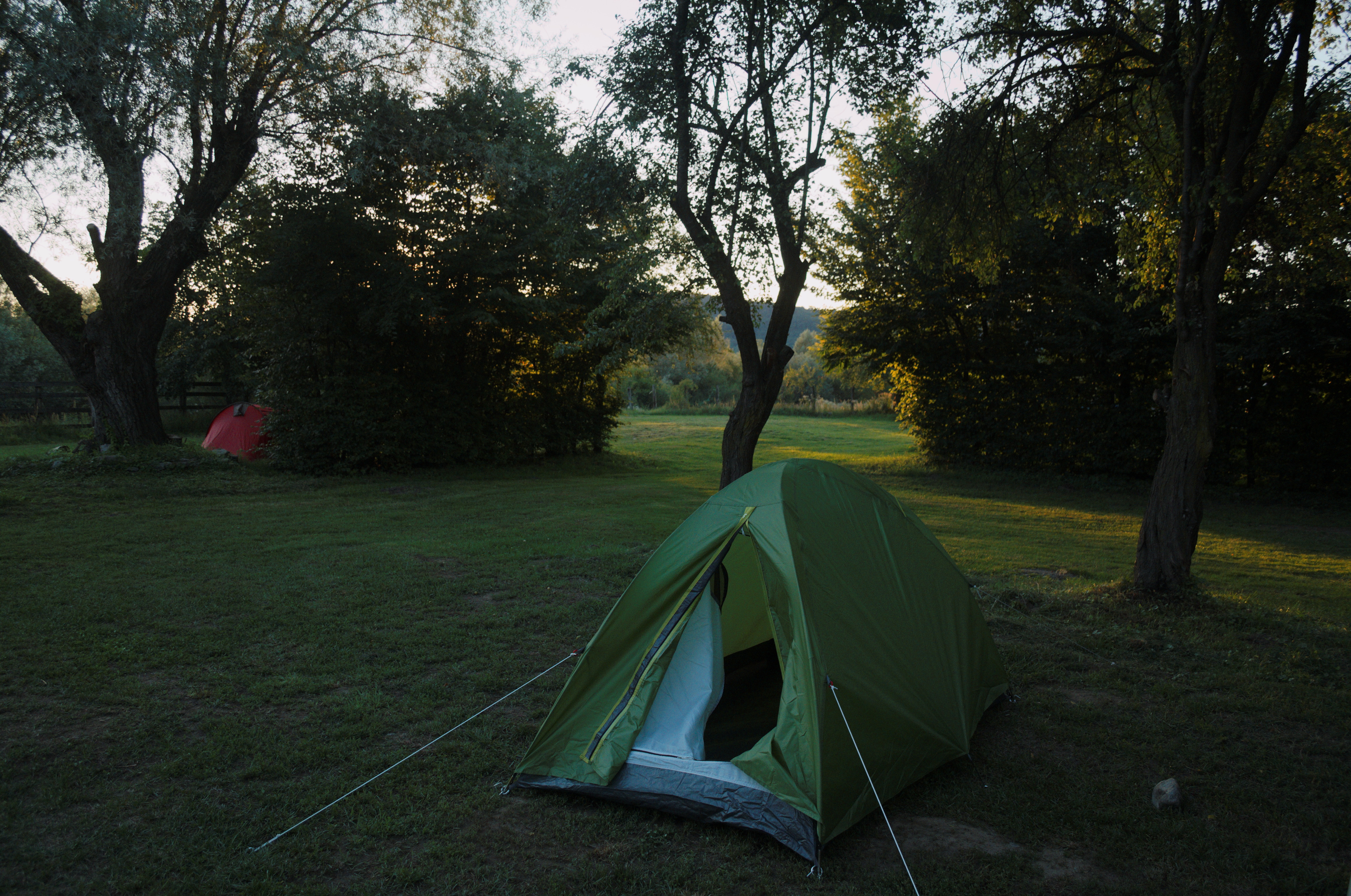 DSC_4006.jpg