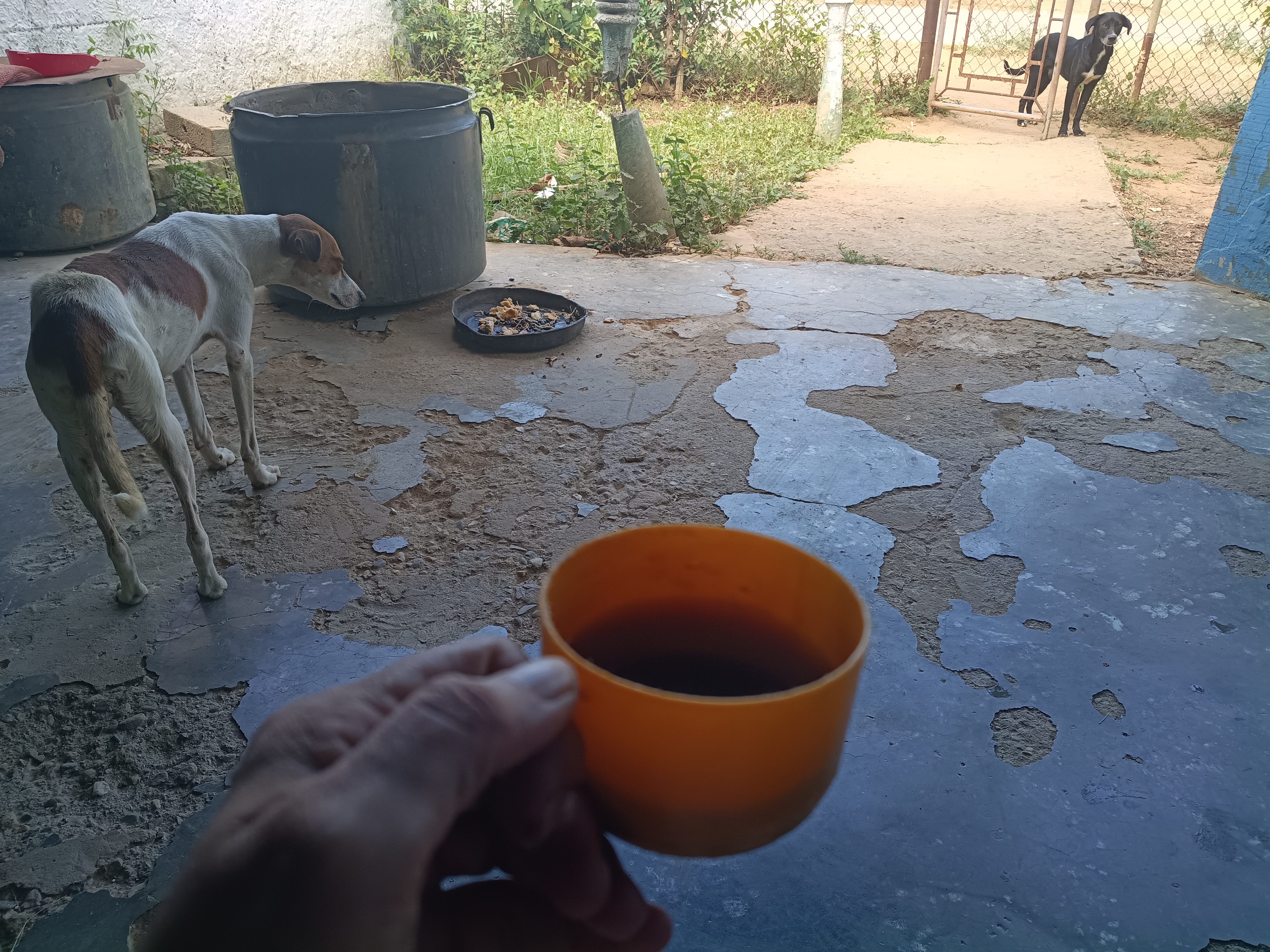 10020.jpg