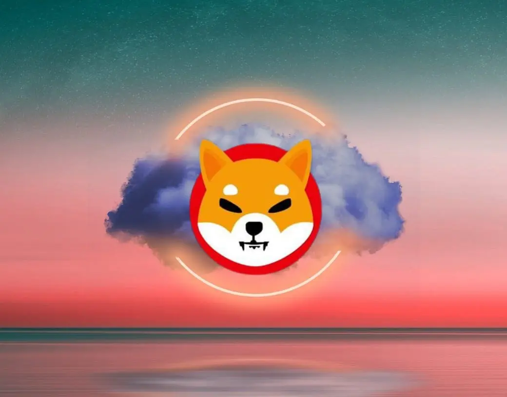 shiba-inu-whales-watching.jpg.webp