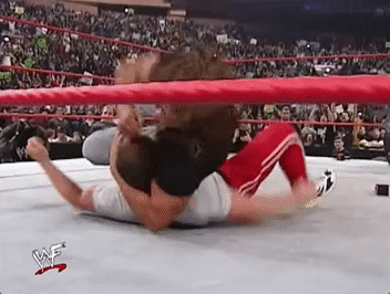 wwf-fight.gif