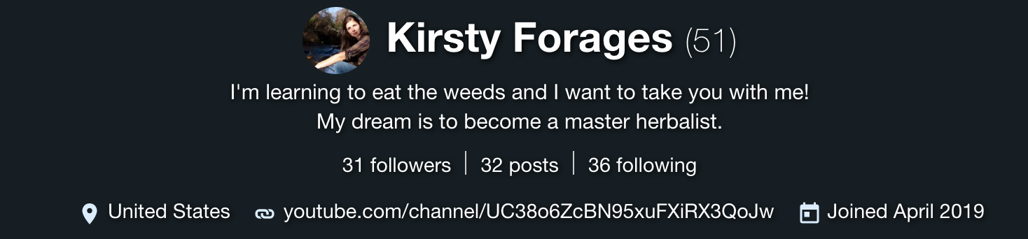Screen Shot 2019-05-03 at 10.41.49 am.png