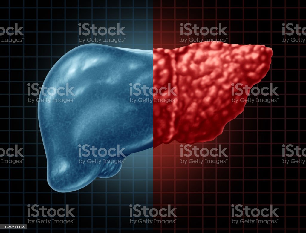 istockphoto-1030711158-1024x1024.jpg