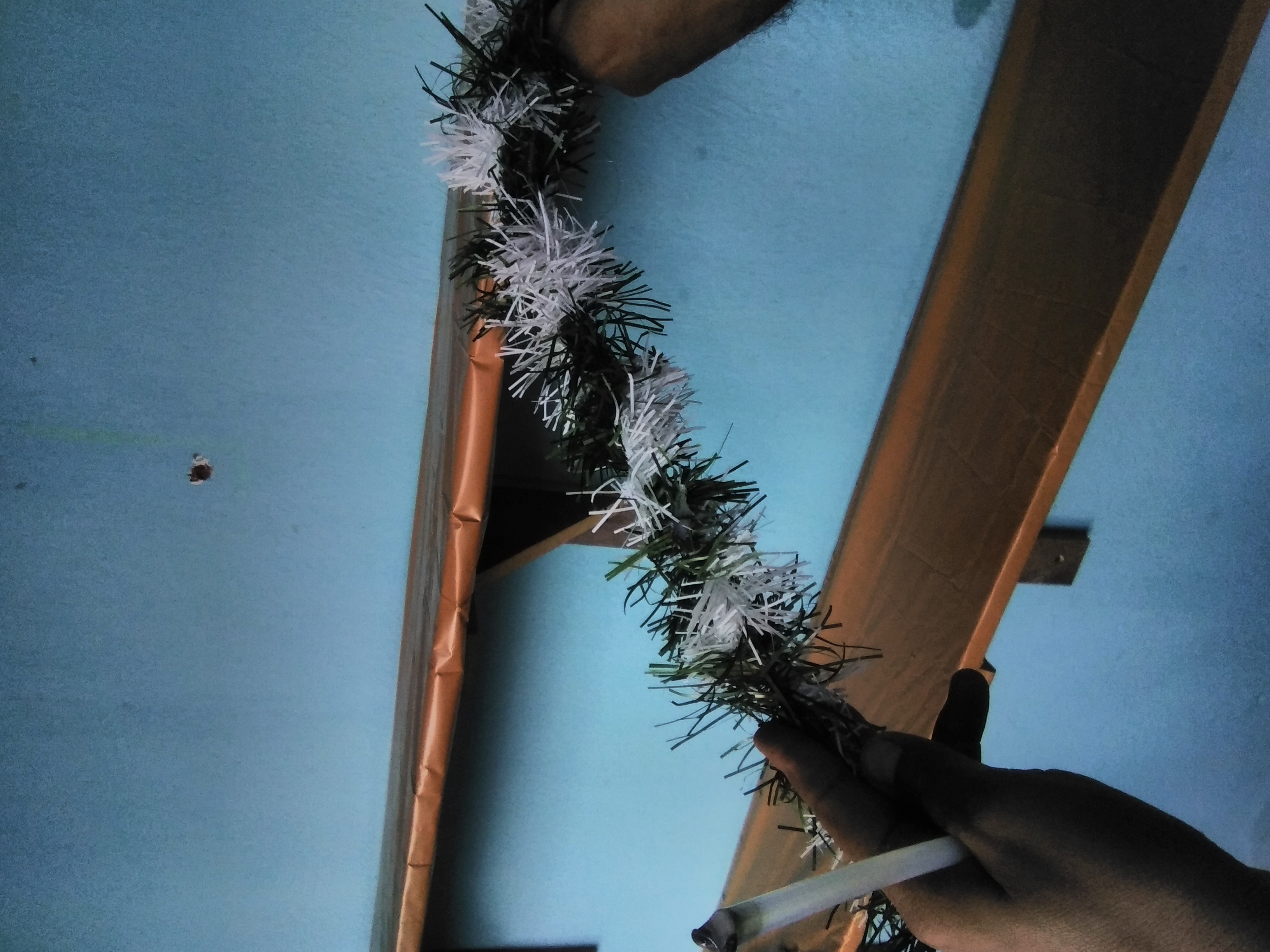 IMG_20211123_154213.jpg