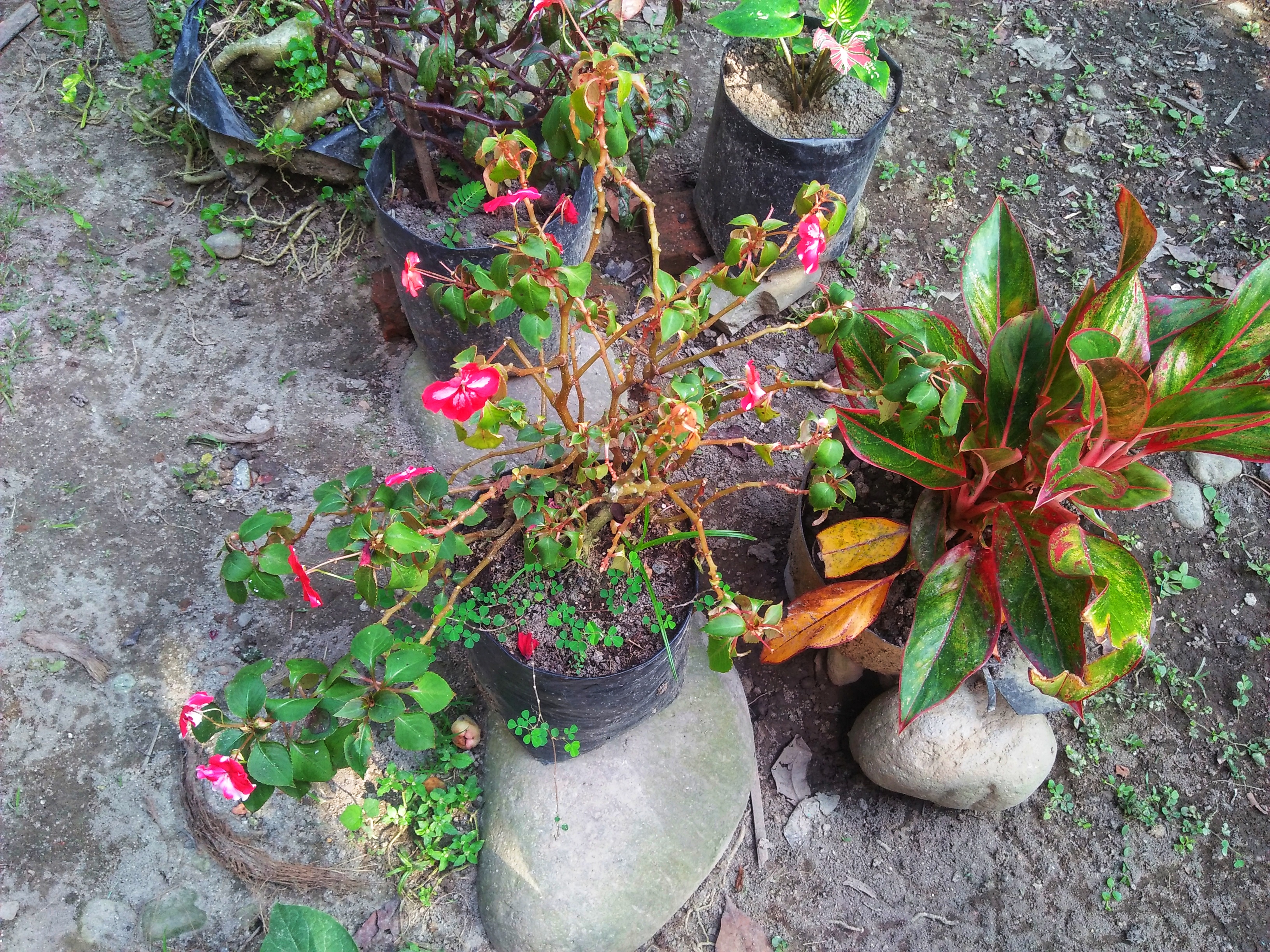 IMG20211225151943-01.jpeg