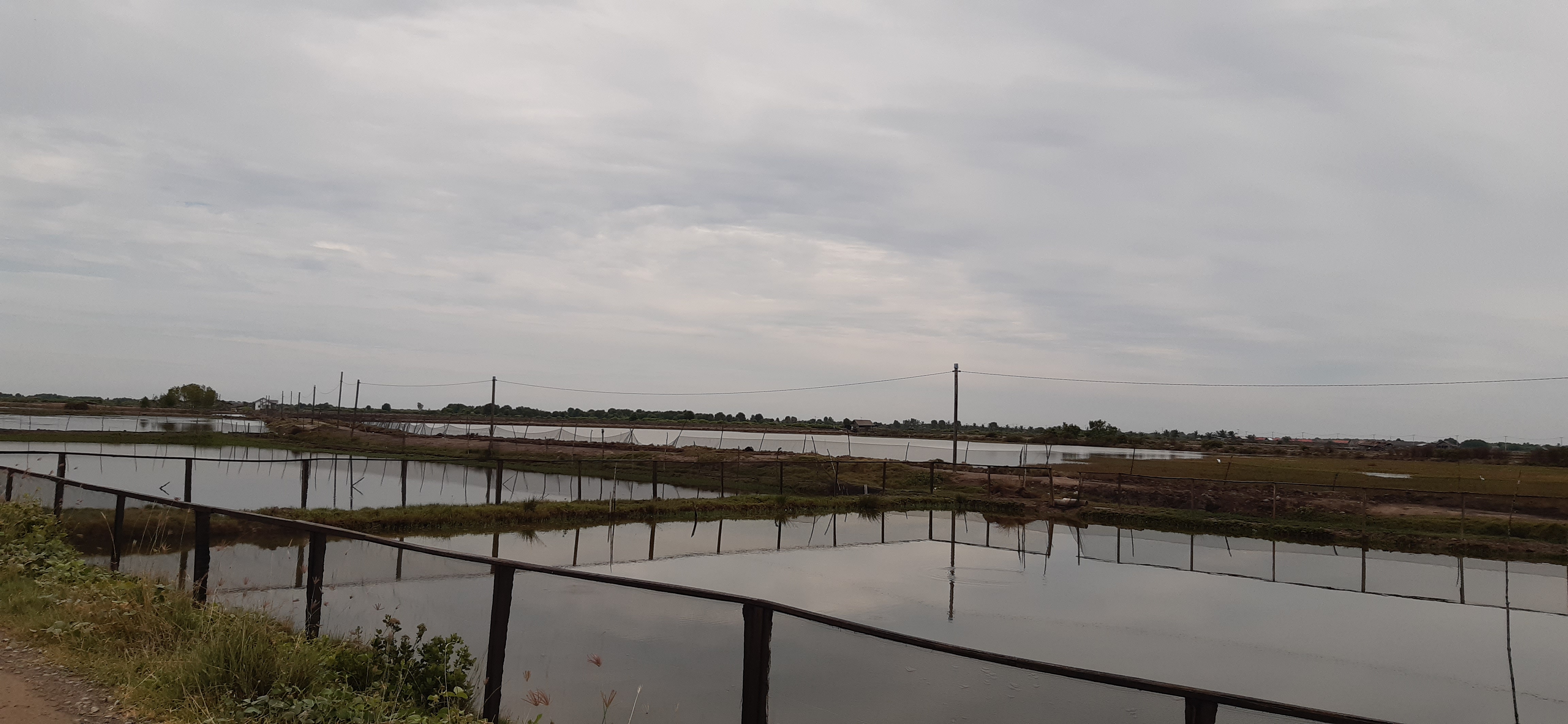 20220920_104956.jpg