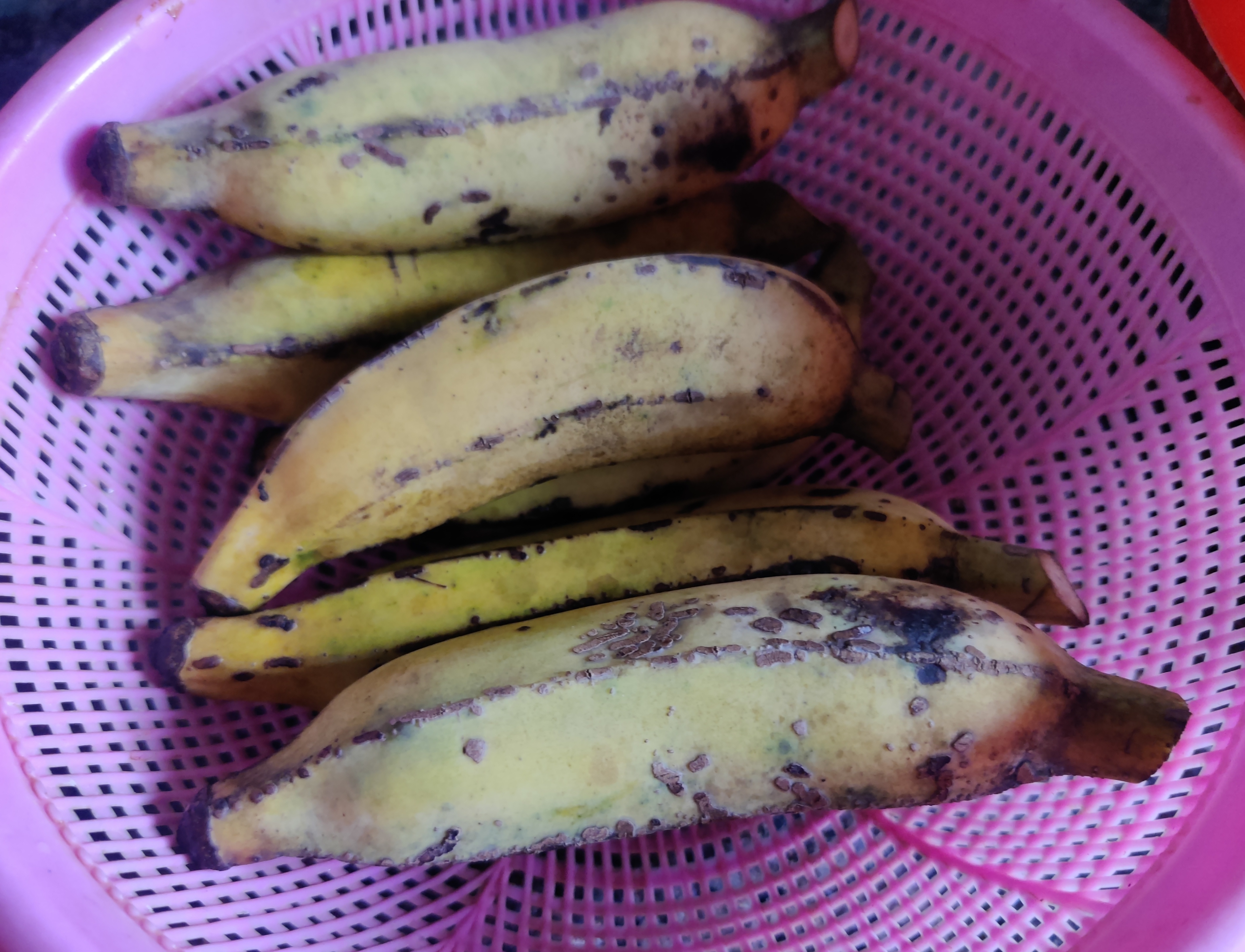 IMG_20260330_210134.jpg