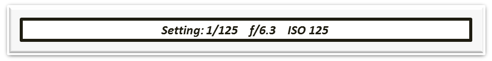 5.png
