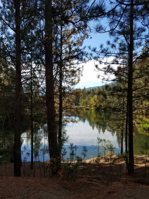 20180928_095956_3.jpg