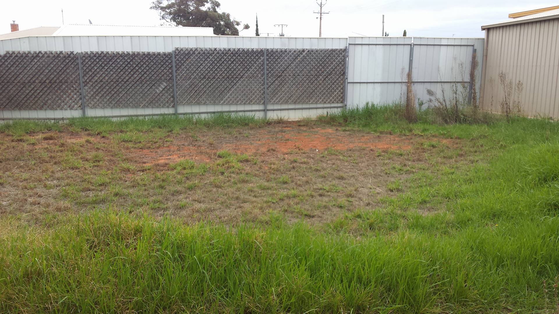 backyard.jpg