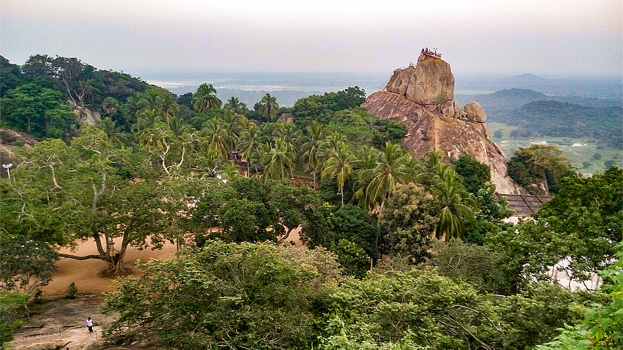 P71208-174519.jpg