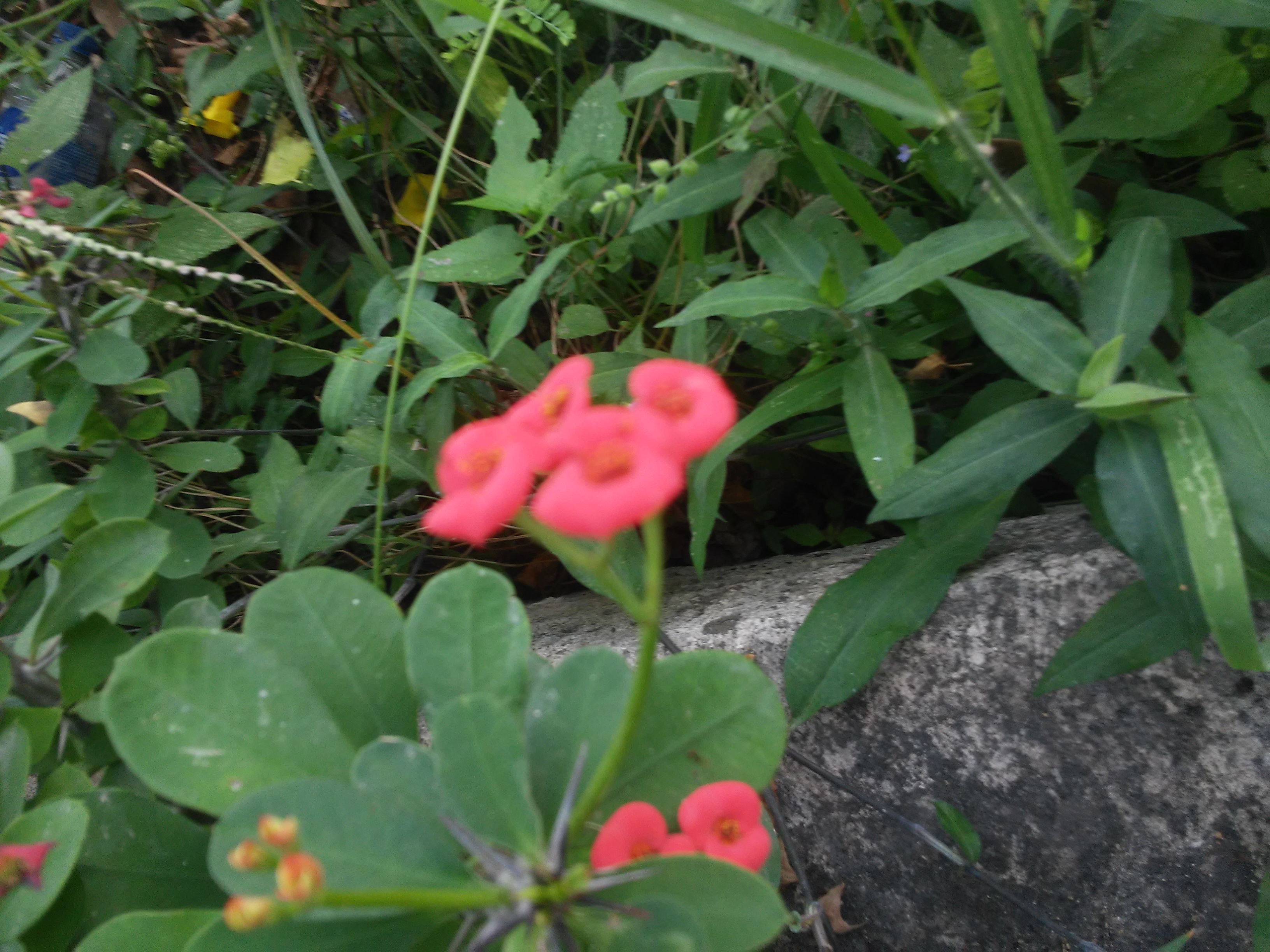 20181209_102735.jpg