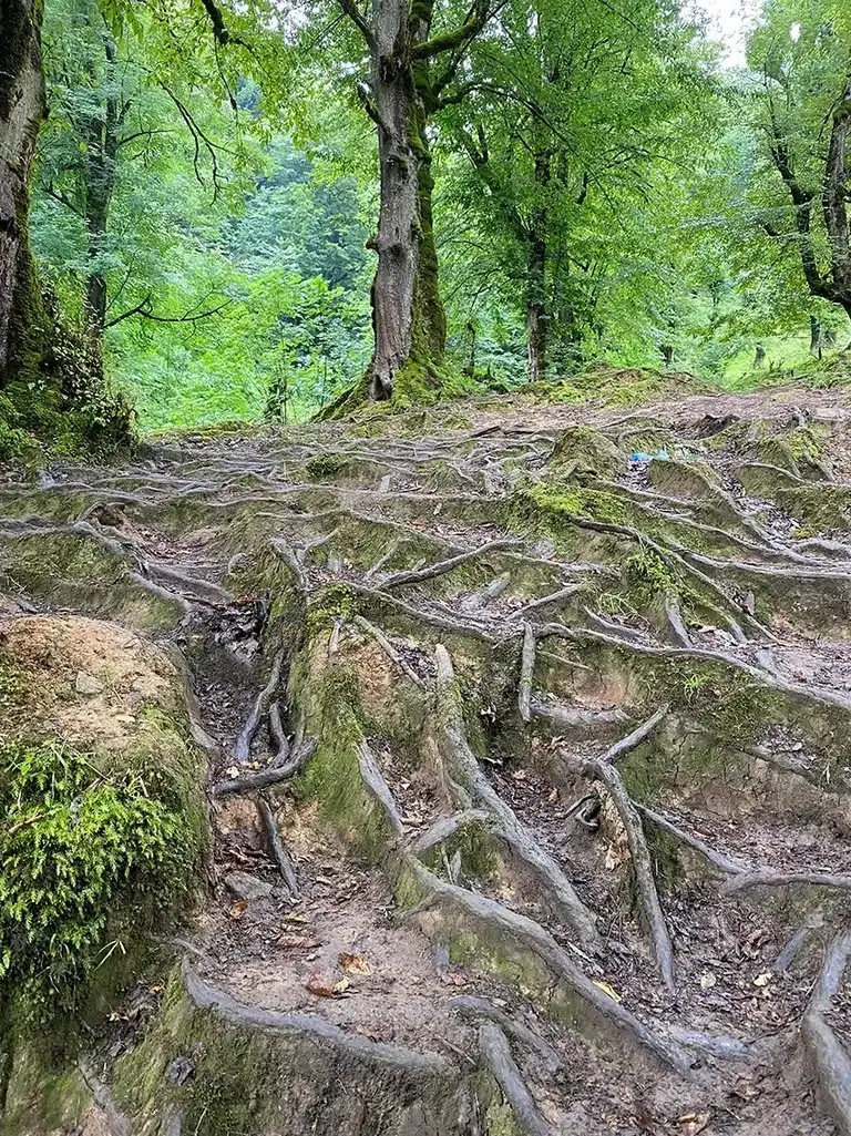 17834473623556445821296970984965.jpg