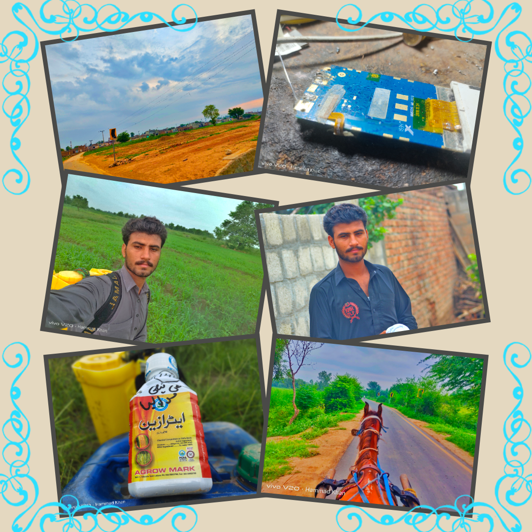 photogrid.collagemaker.photocollage.squarefit_2022731204912376.png